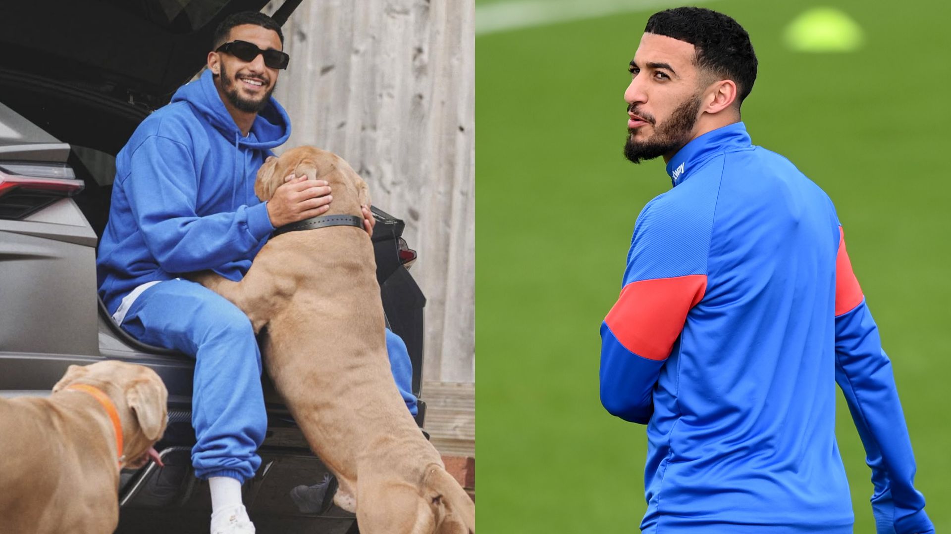 Said Benrahma XL bully dogs