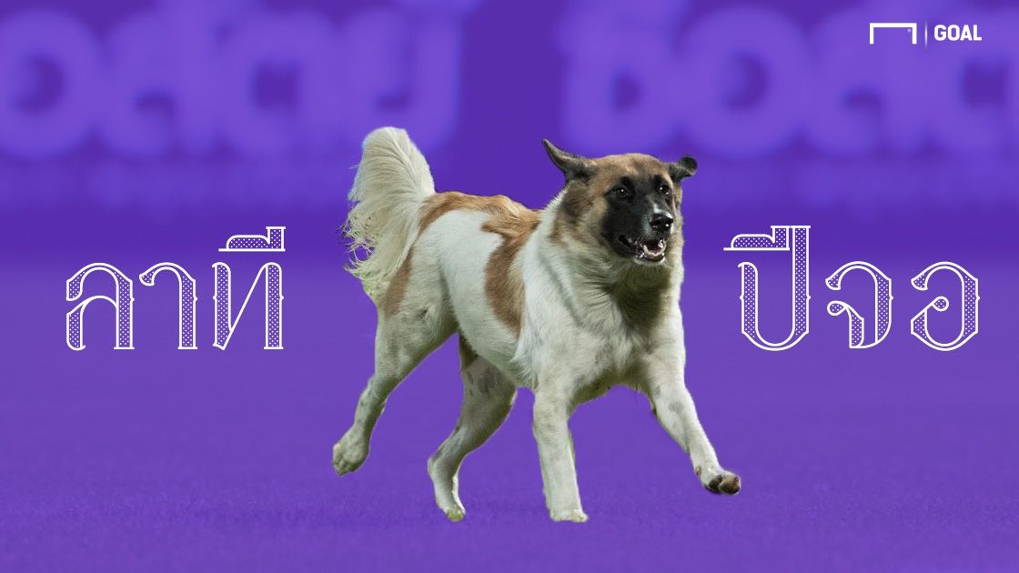 ลาทีปีจอ GFX