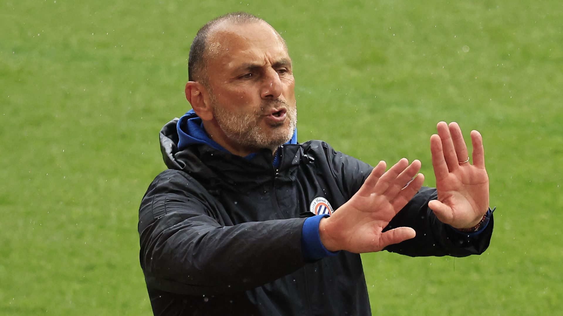 Michel Der Zakarian Entraîneur Montpellier