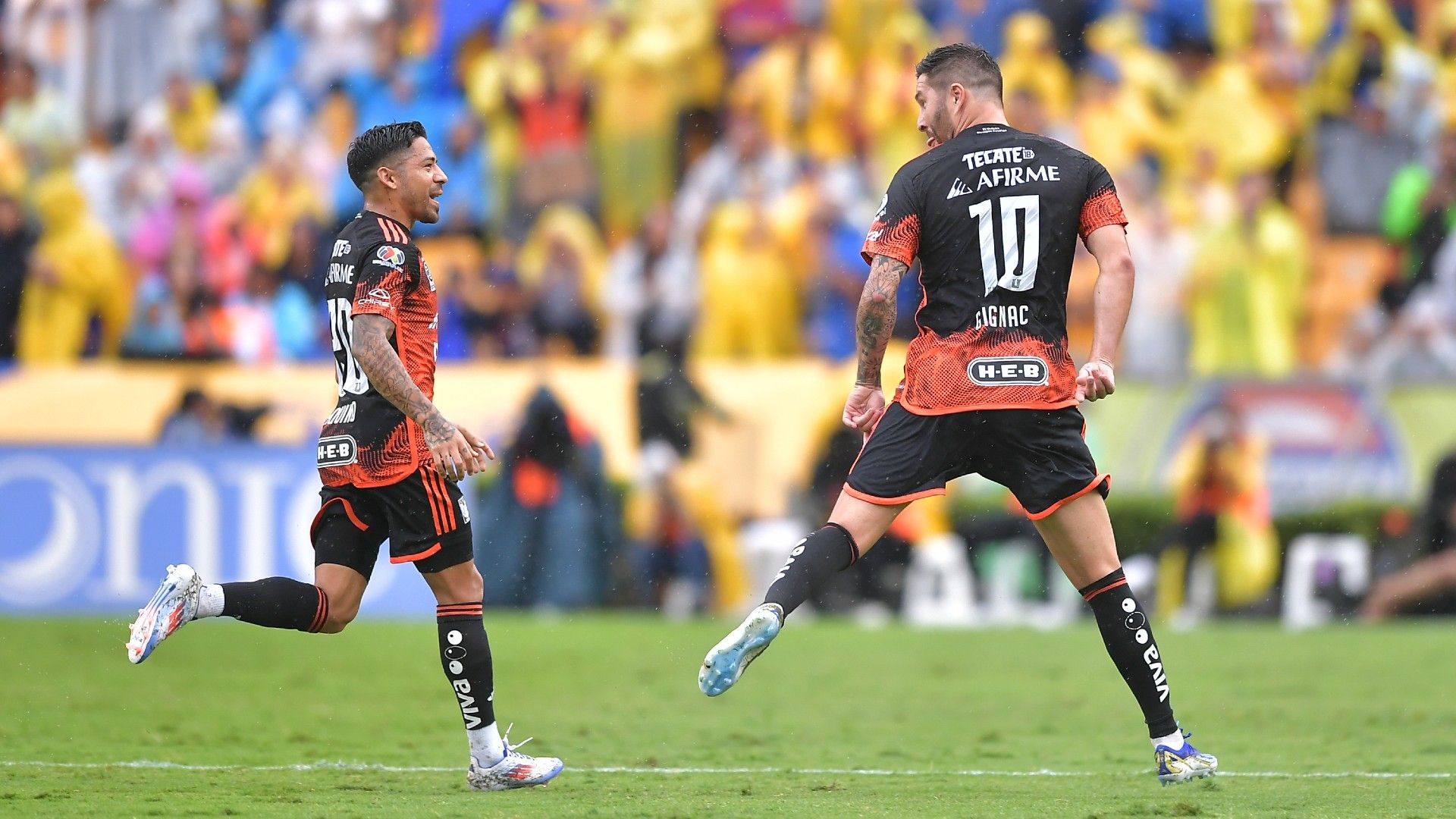 Tigres festejo Apertura 2024