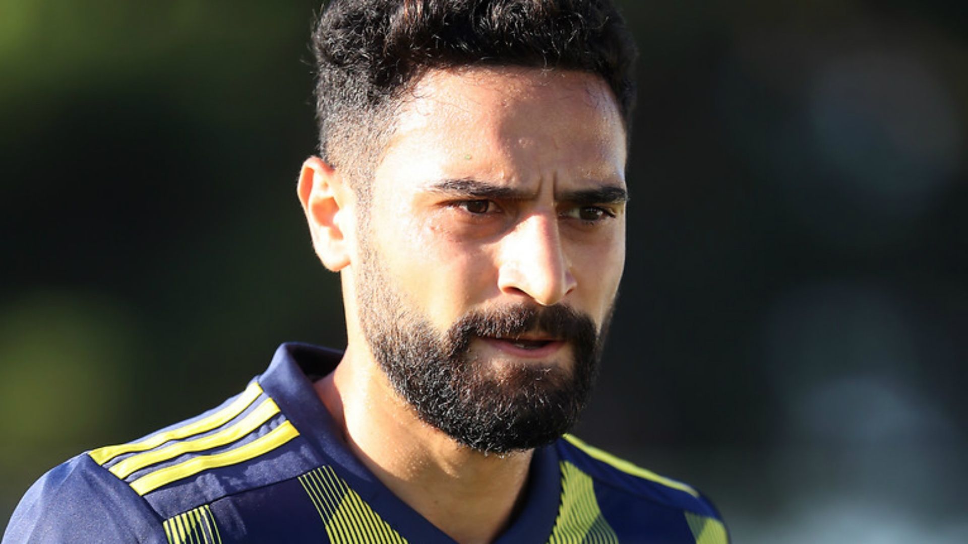 Mehmet Ekici Fenerbahce
