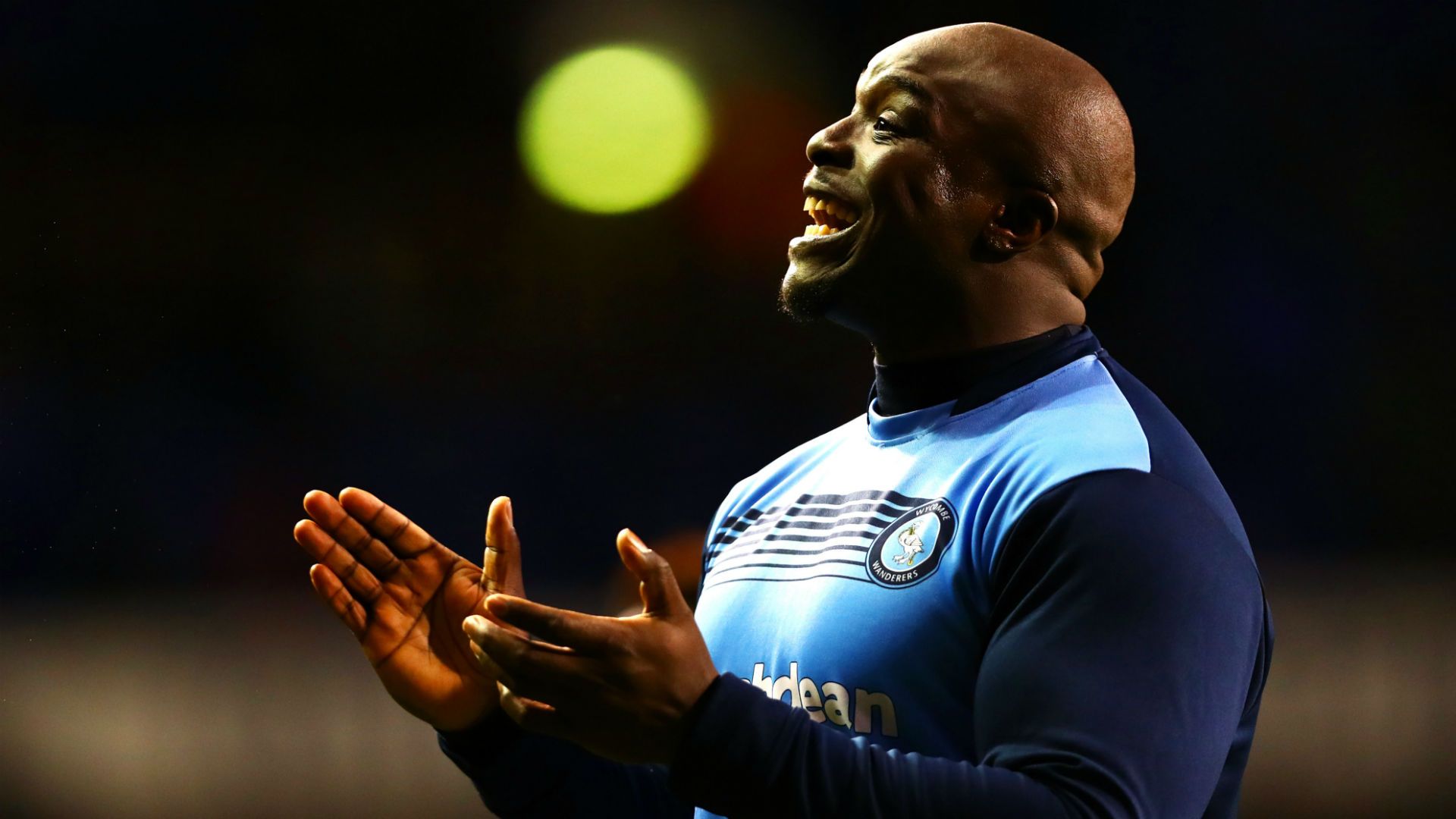 Adebayo Akinfenwa