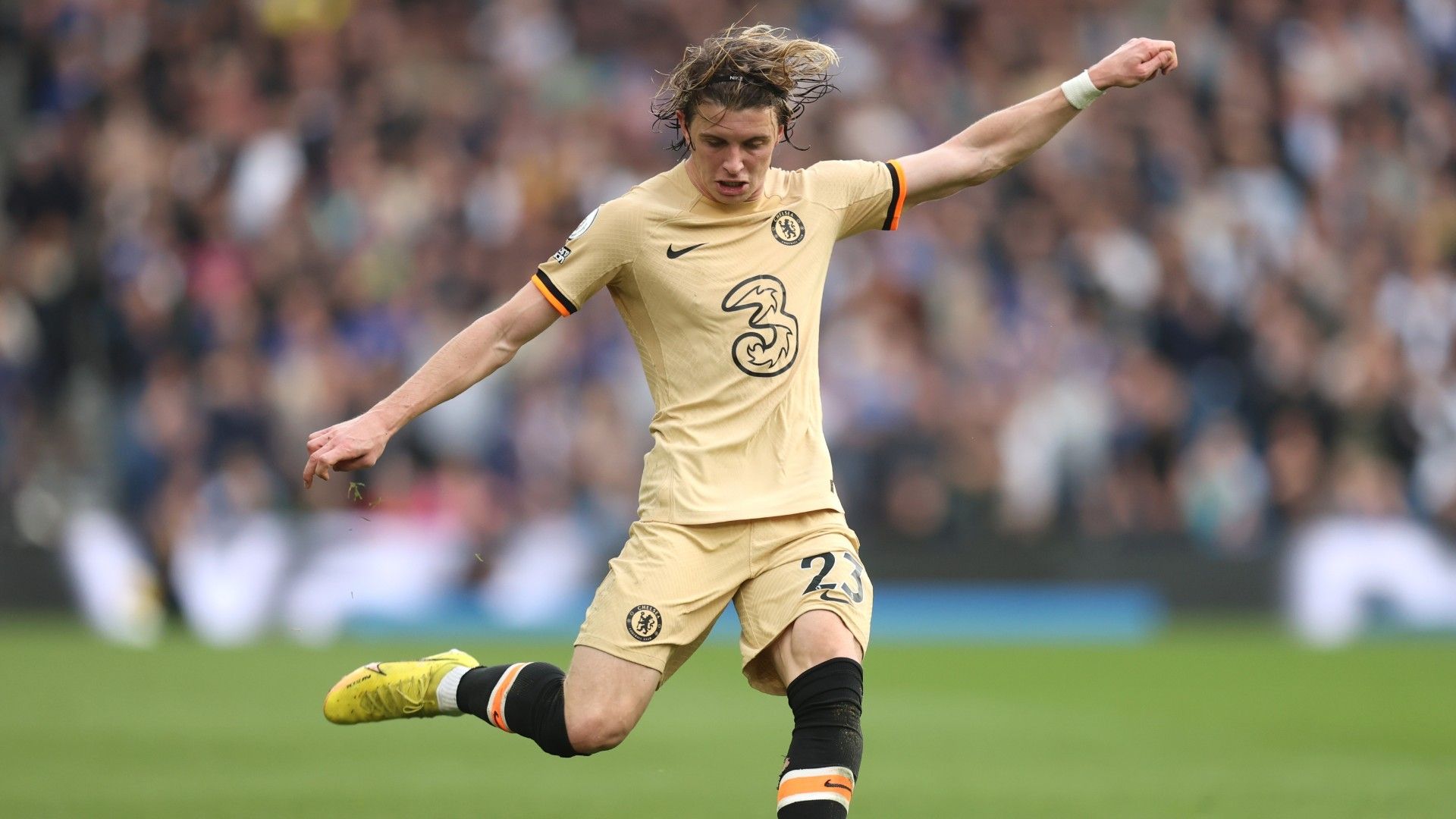 Conor Gallagher Chelsea