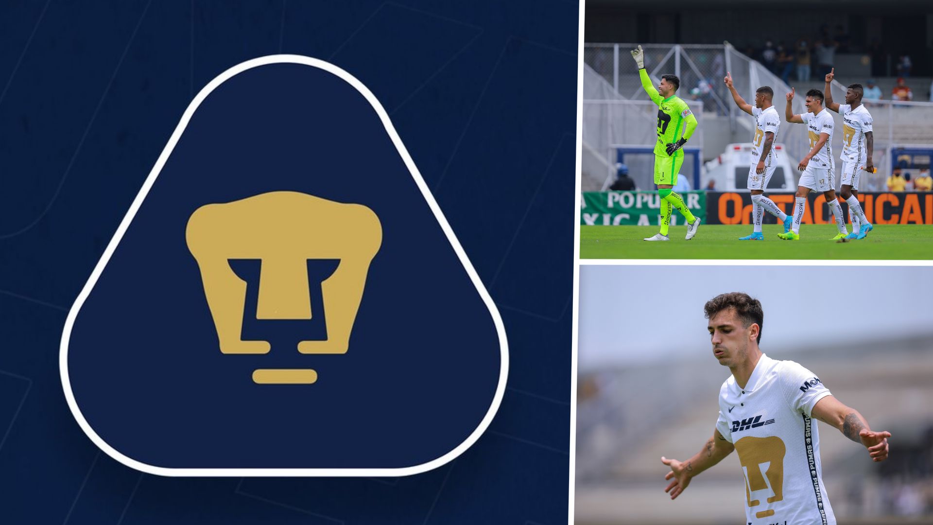 pumas mexico futbol