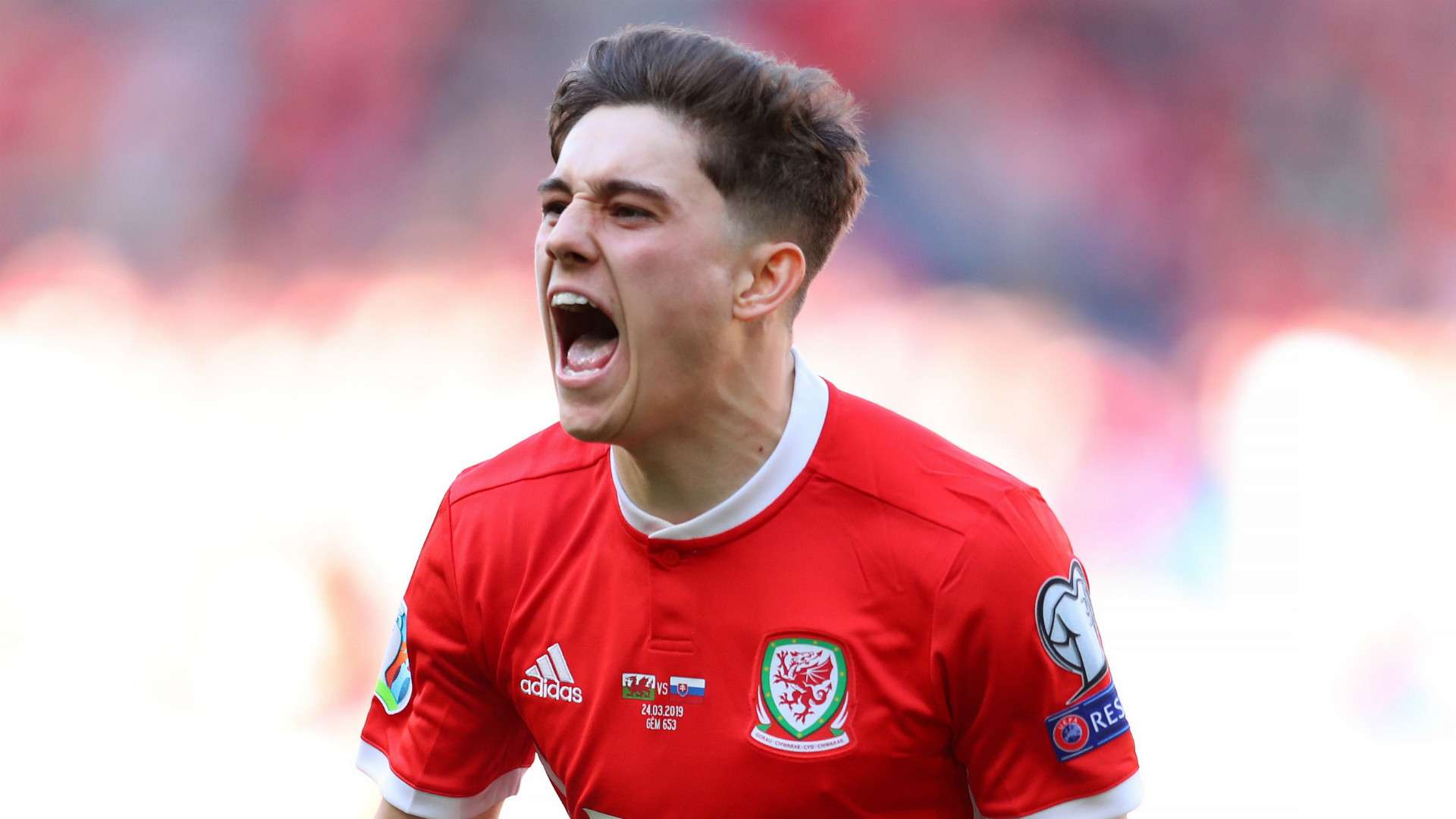 Daniel James Wales 2019