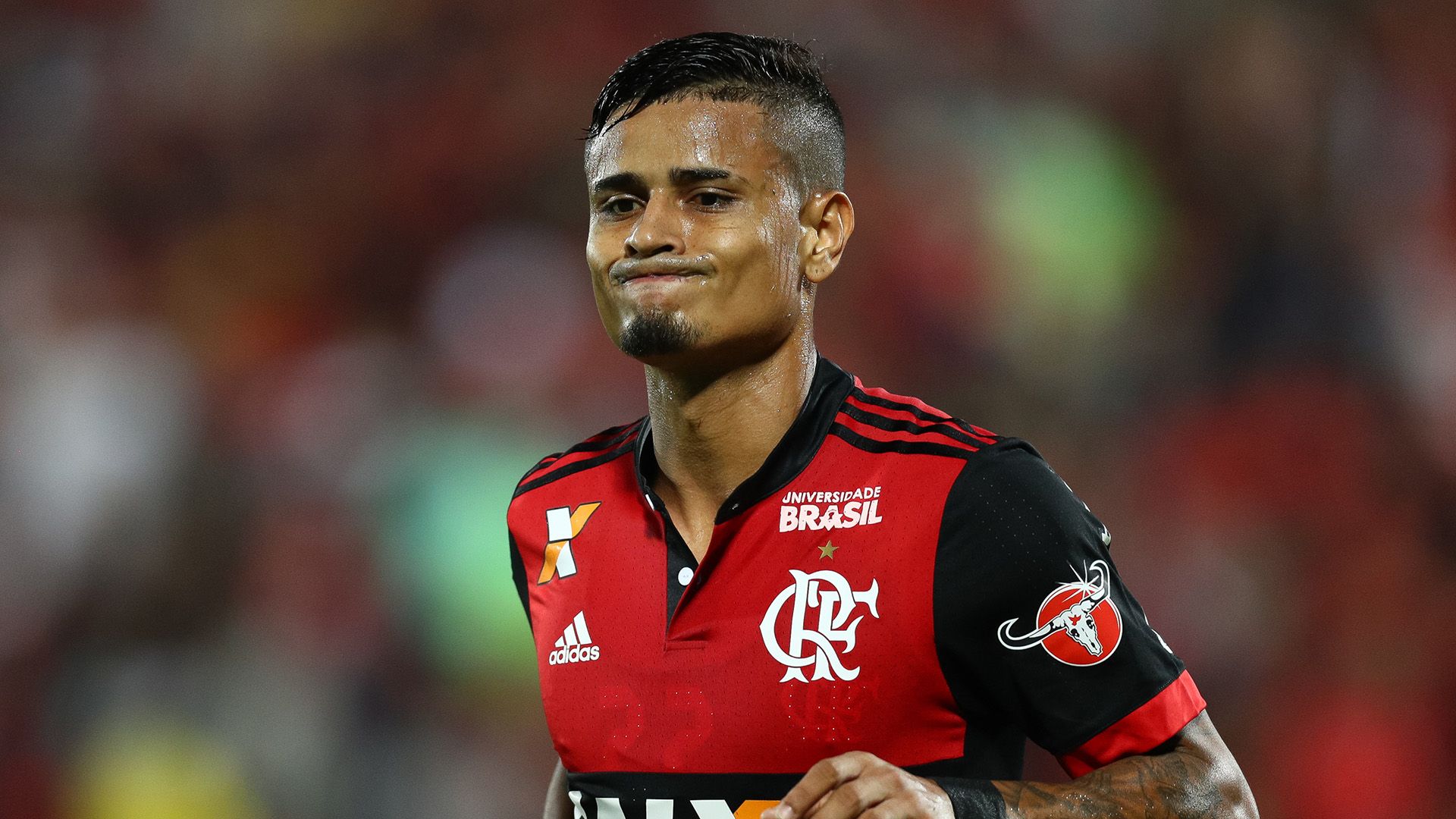 Everton Palmeiras Flamengo Brasileirao Serie A 19072017