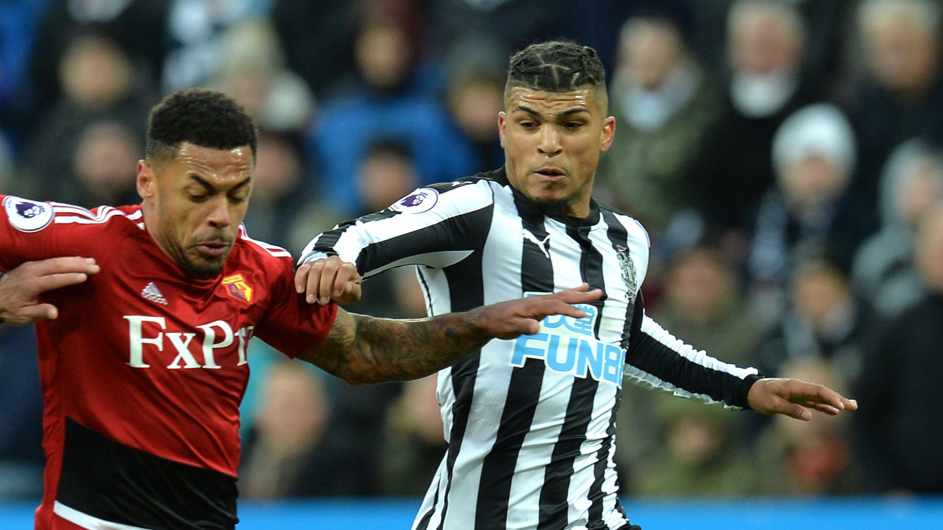 Andre Gray DeAndre Yedlin Watford Newcastle