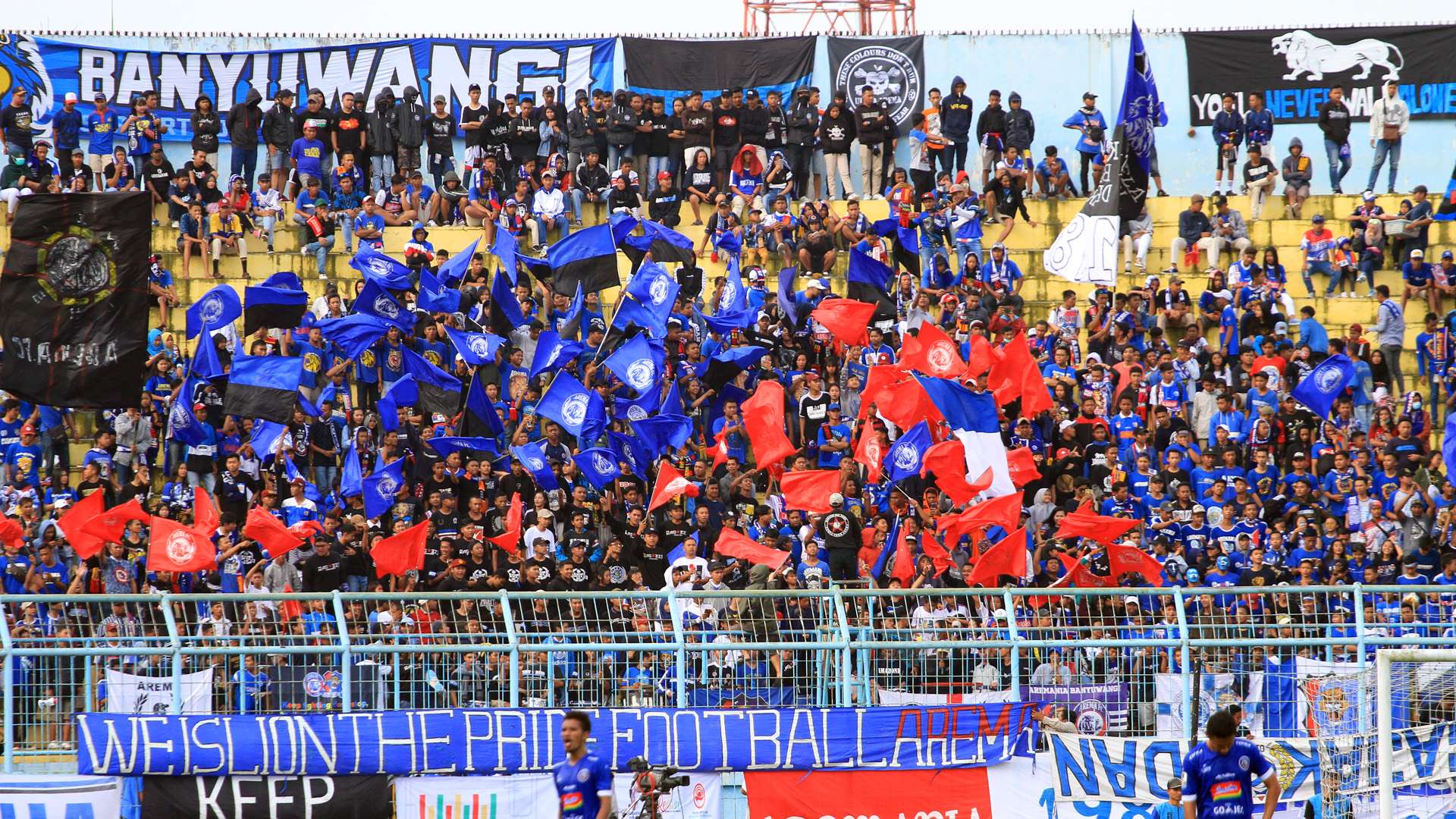 Aremania - Arema FC Fans