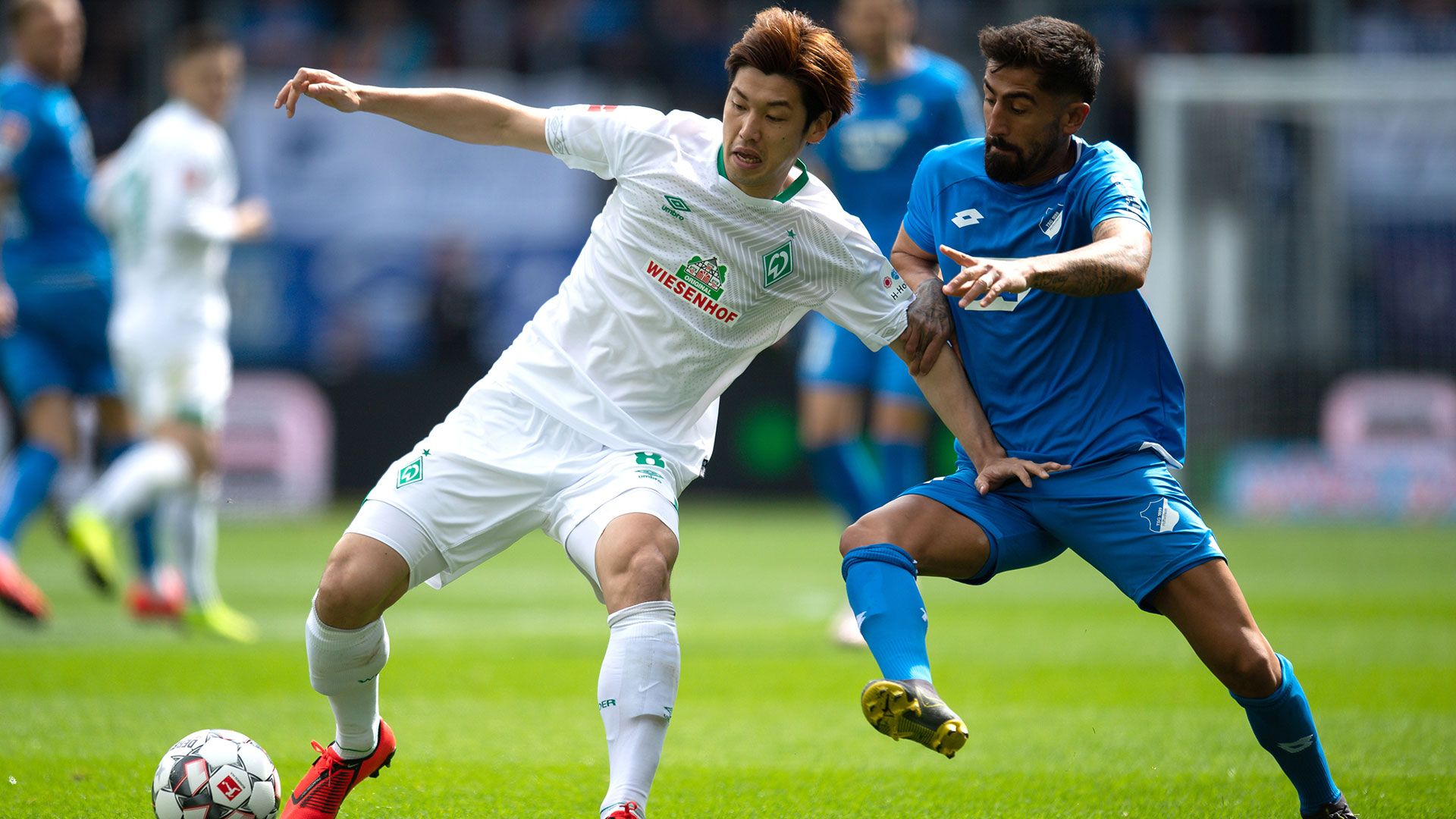 2019_5_11_yuya_osako