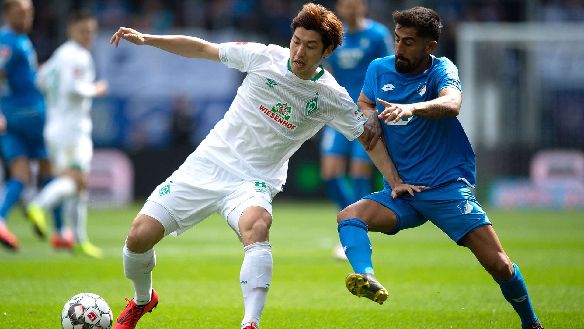 2019_5_11_yuya_osako