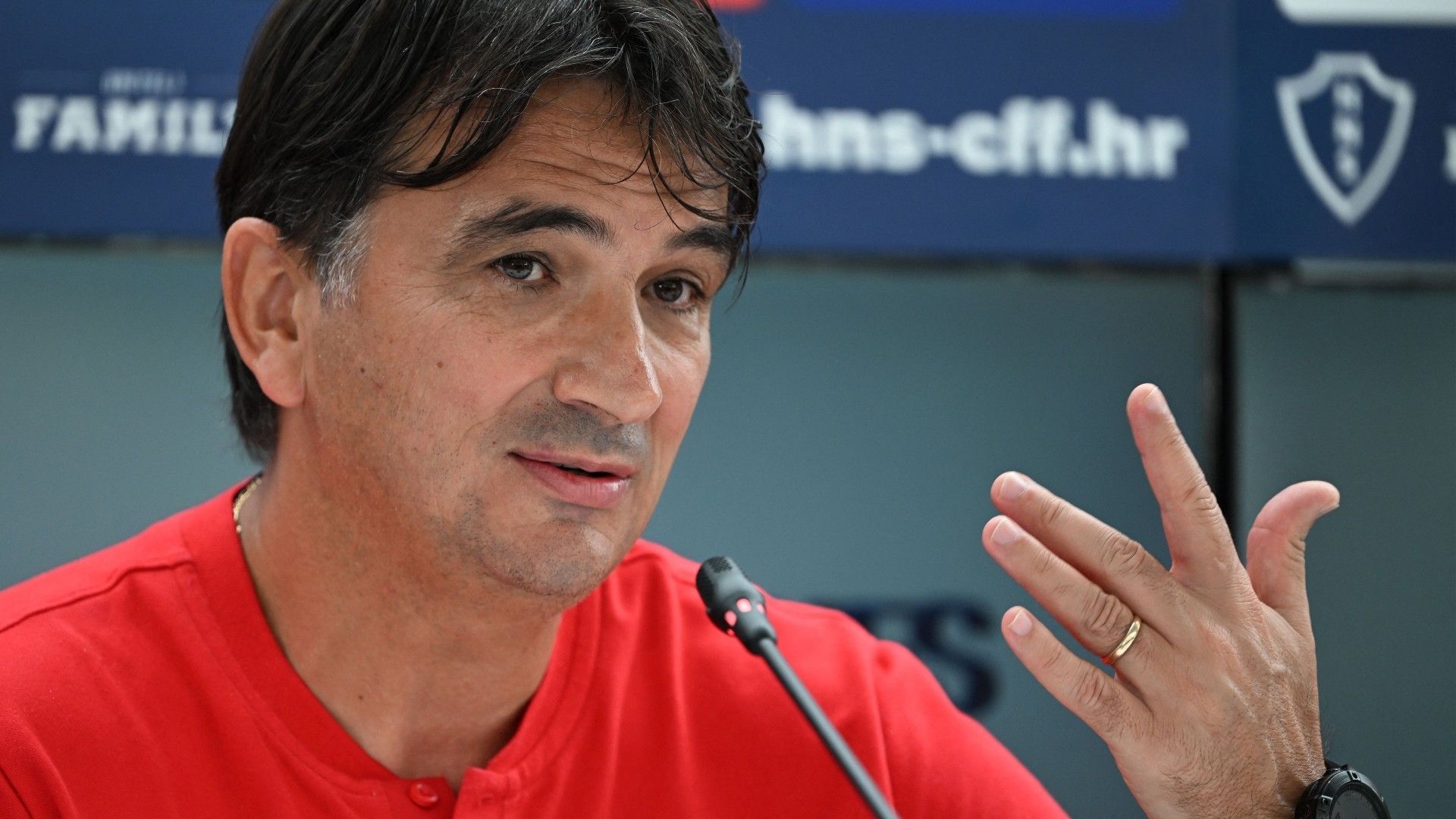 croatia-dalic
