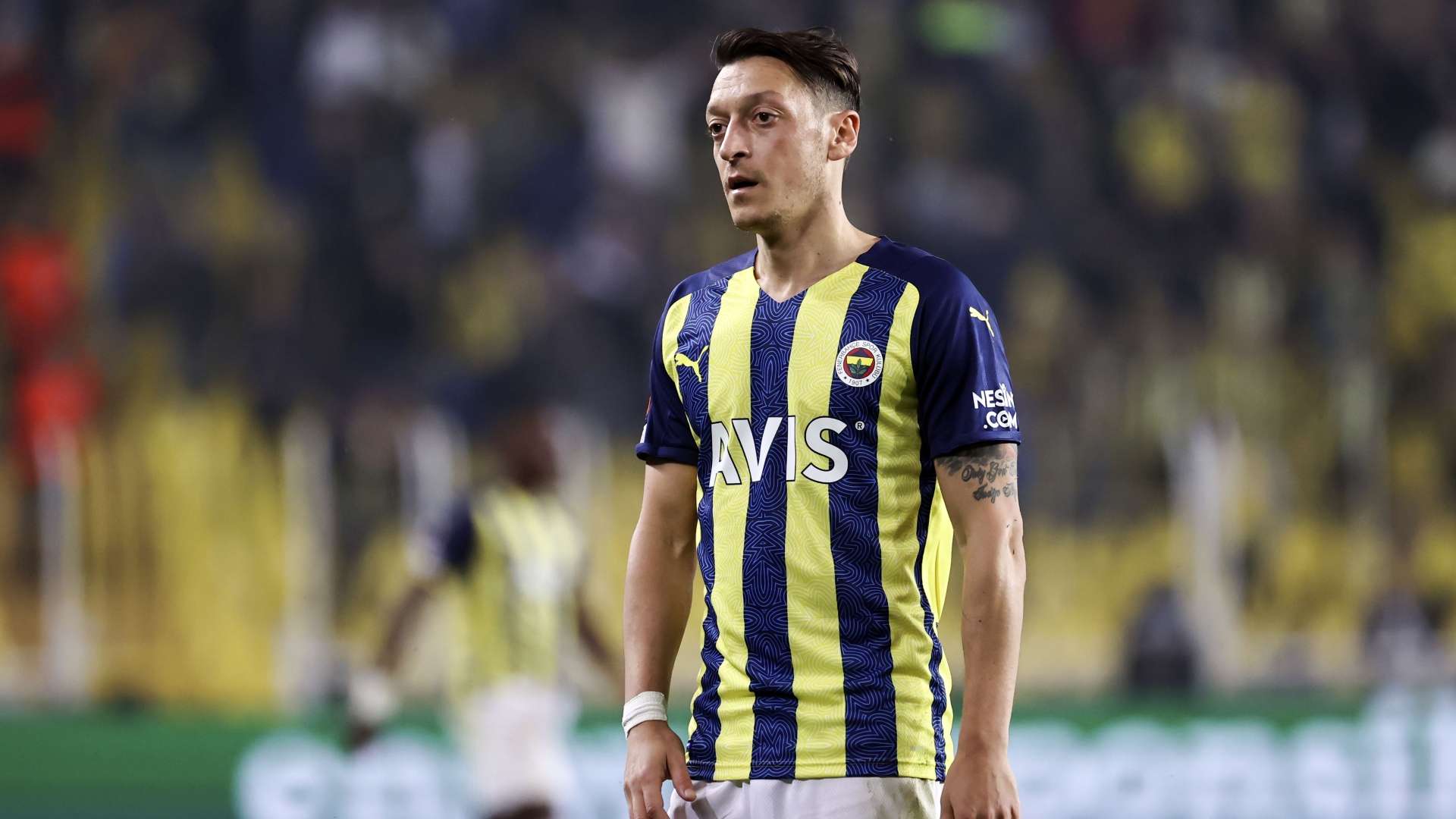 Mesut Özil Fenerbahçe