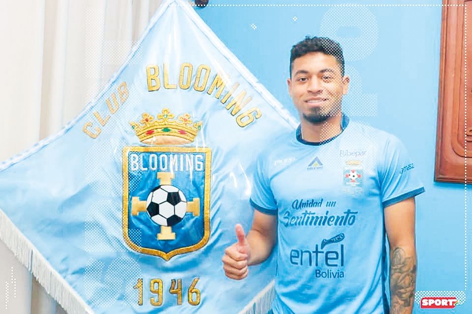 Antonio Bustamante Blooming