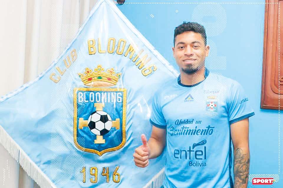 Antonio Bustamante Blooming