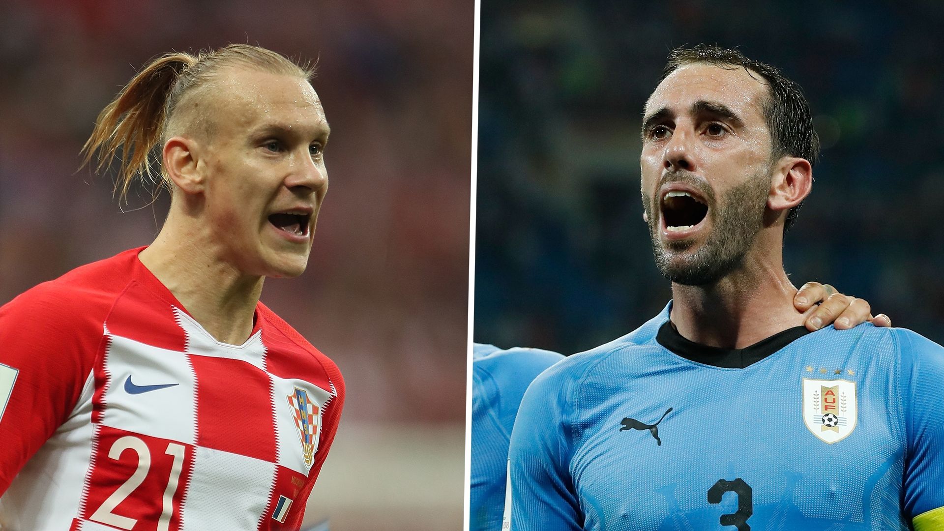 Domagoj Vida, Diego Godin