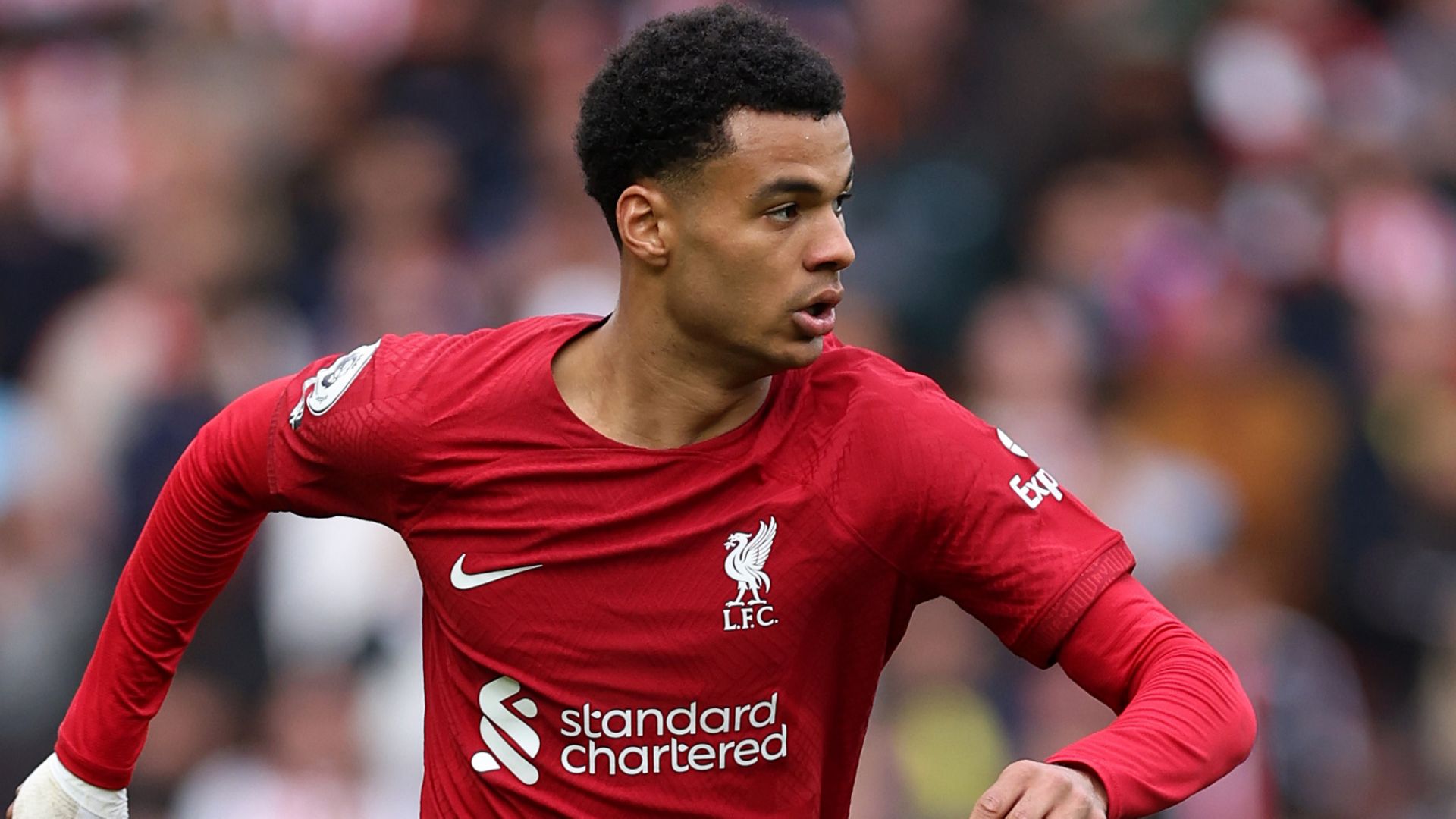 Cody Gakpo Liverpool 2022-23