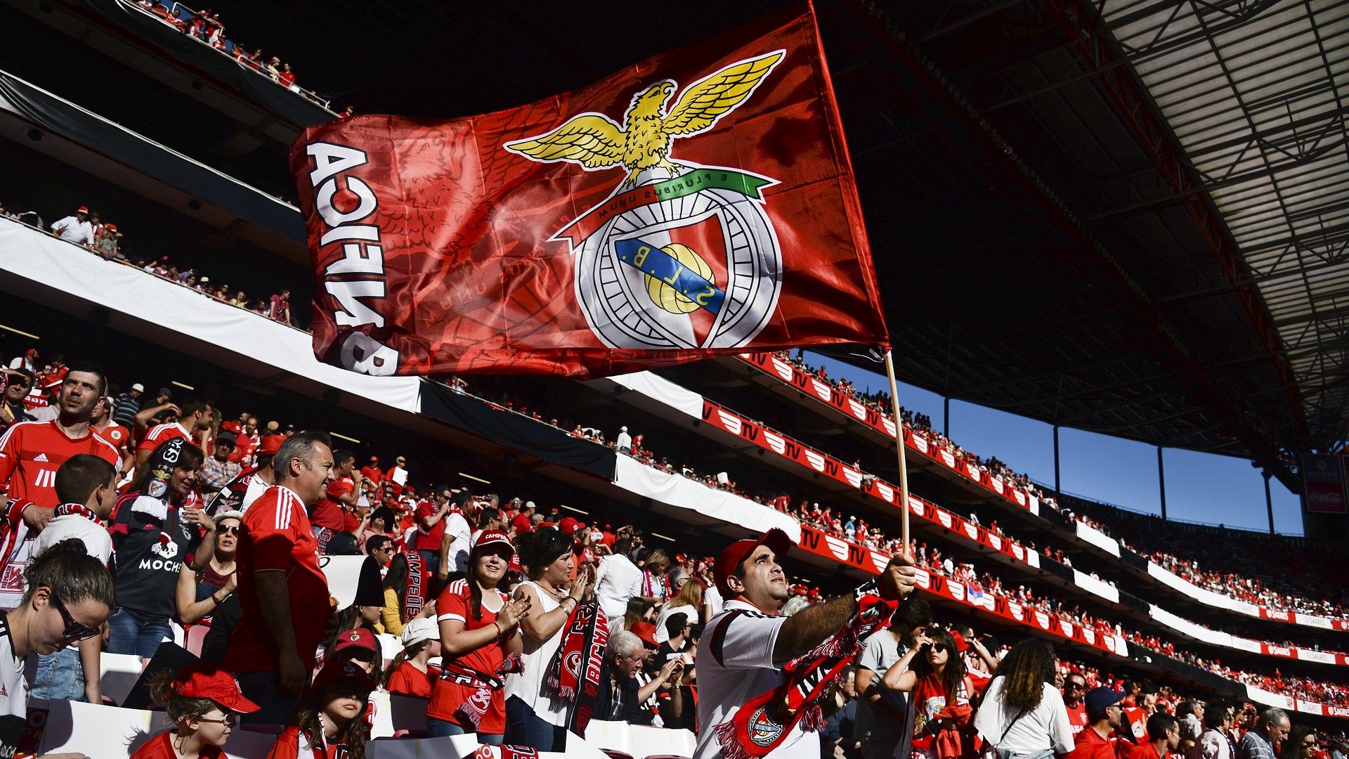 Benfica fans
