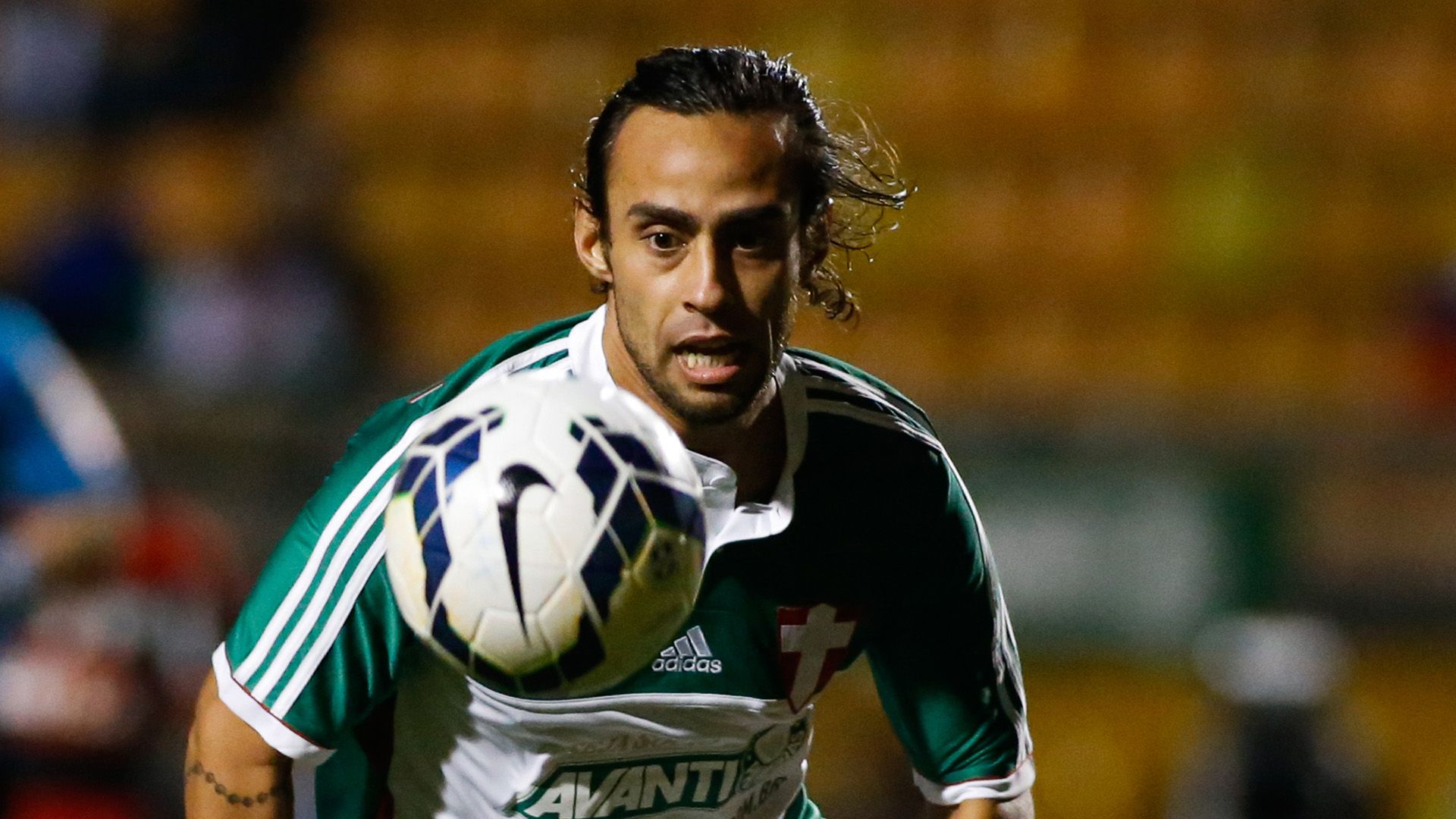 Jorge Valdivia Palmeiras Flamengo Brasileirao 09172014