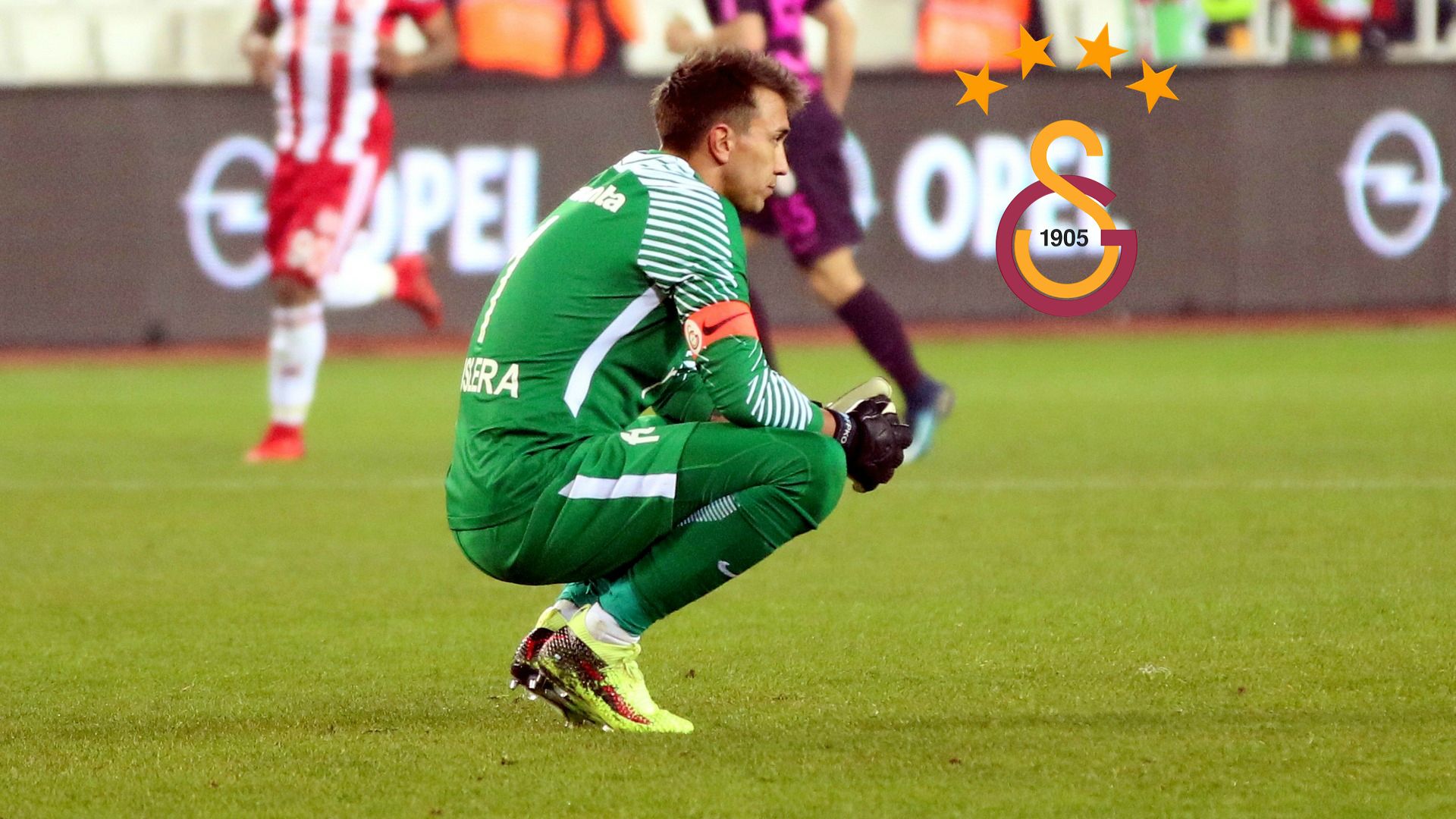 Fernando Muslera Galatasaray logo