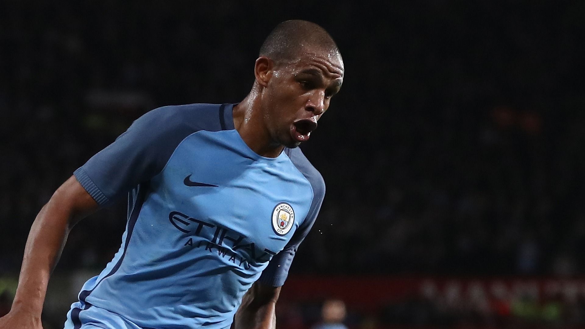 Fernando Manchester City