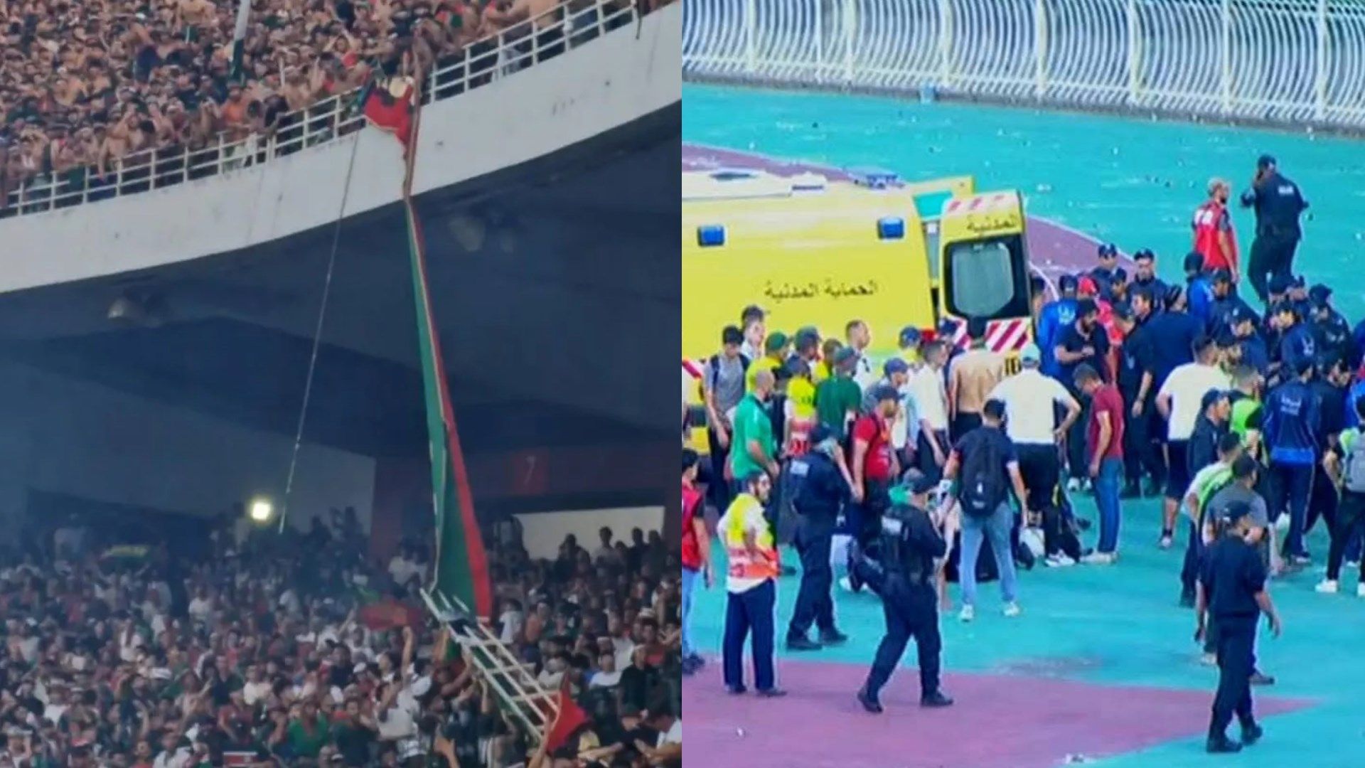 Mouloudia Club d'Alger fans