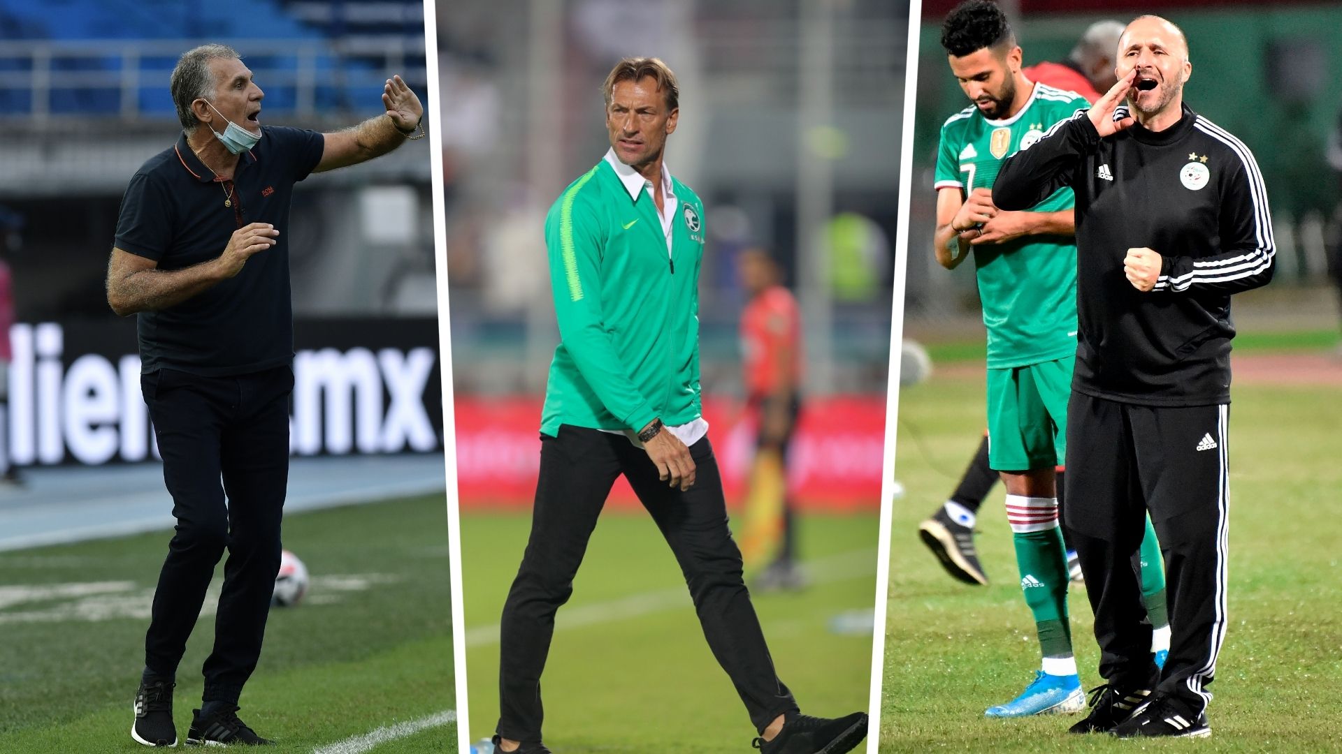 Egypt, Algeria, Saudi