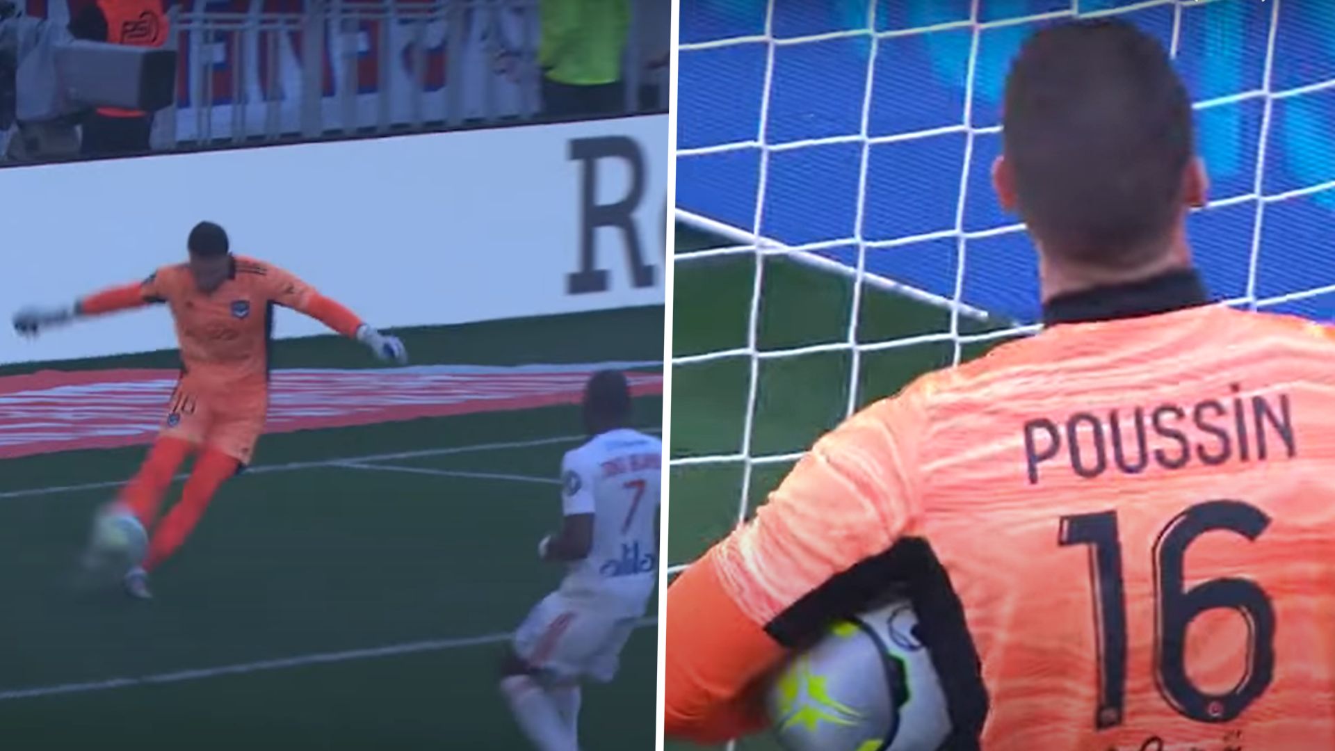 GFX OL Bordeaux Poussin