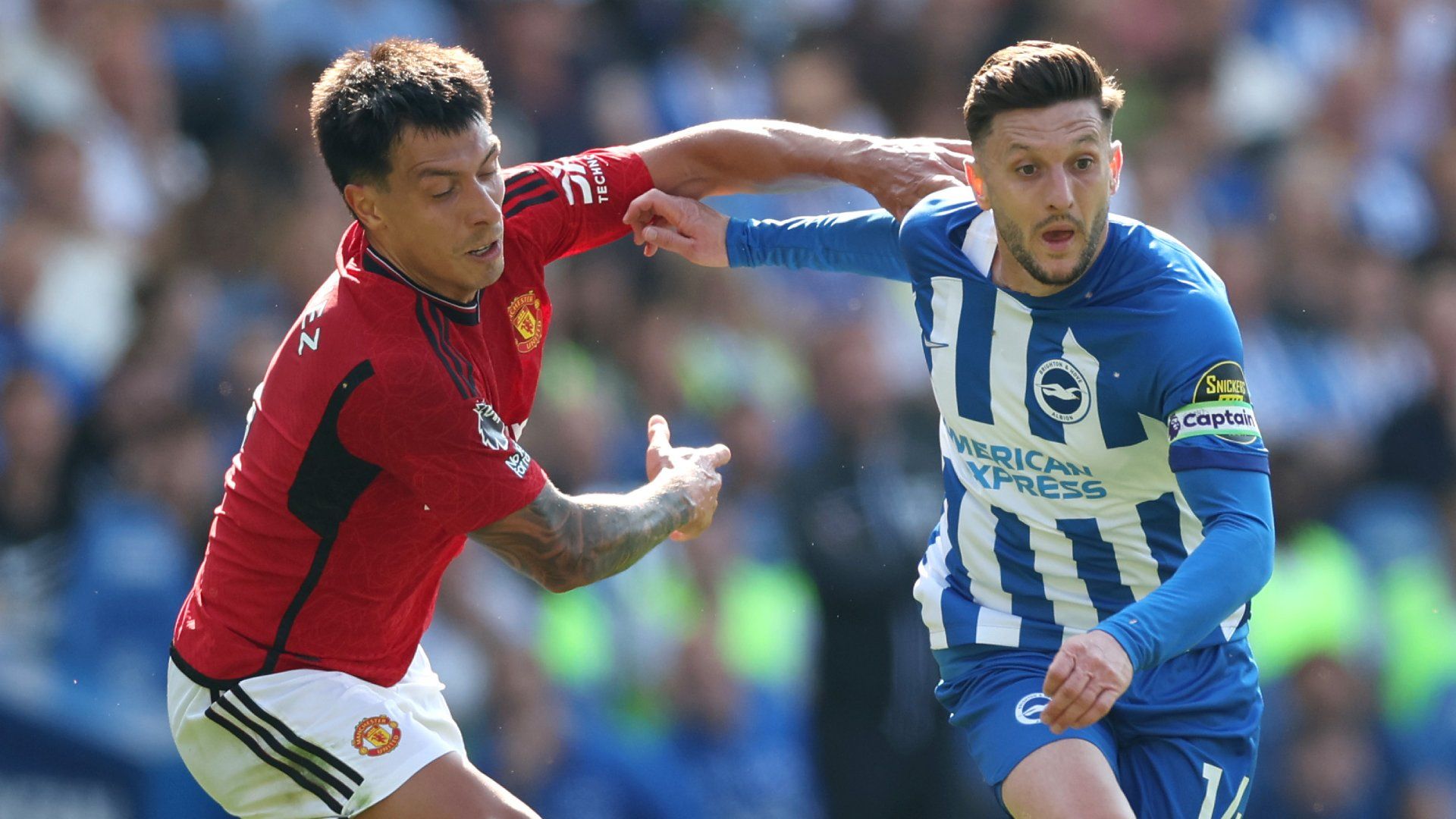 Lisandro Martinez Manchester United Adam Lallana Brighton 2023-24