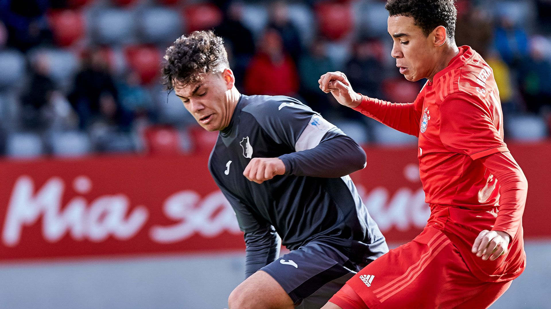 ONLY GERMANY Luca Campanile 1899 Hoffenheim