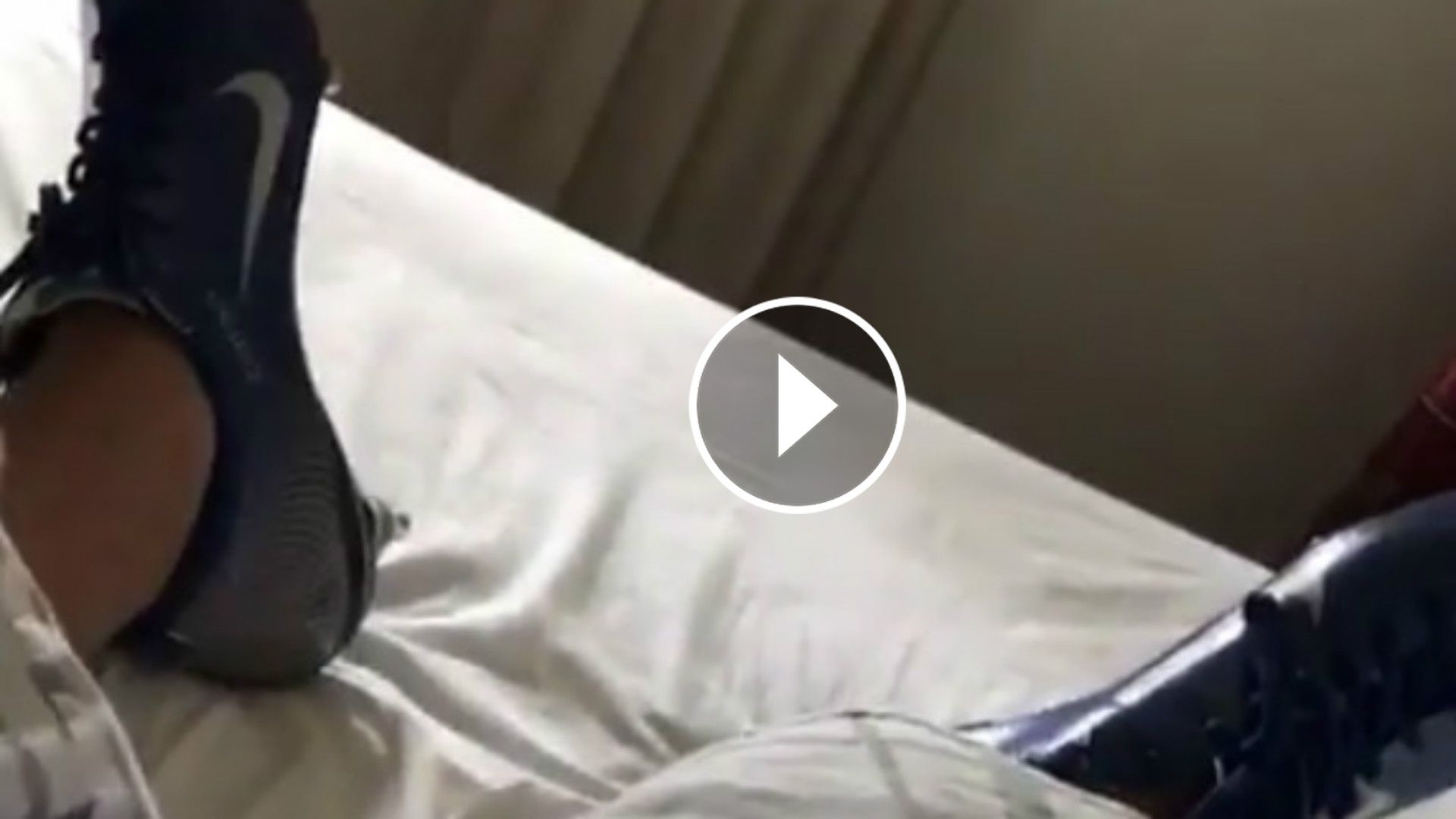 GFX Bota Ibrahimovic