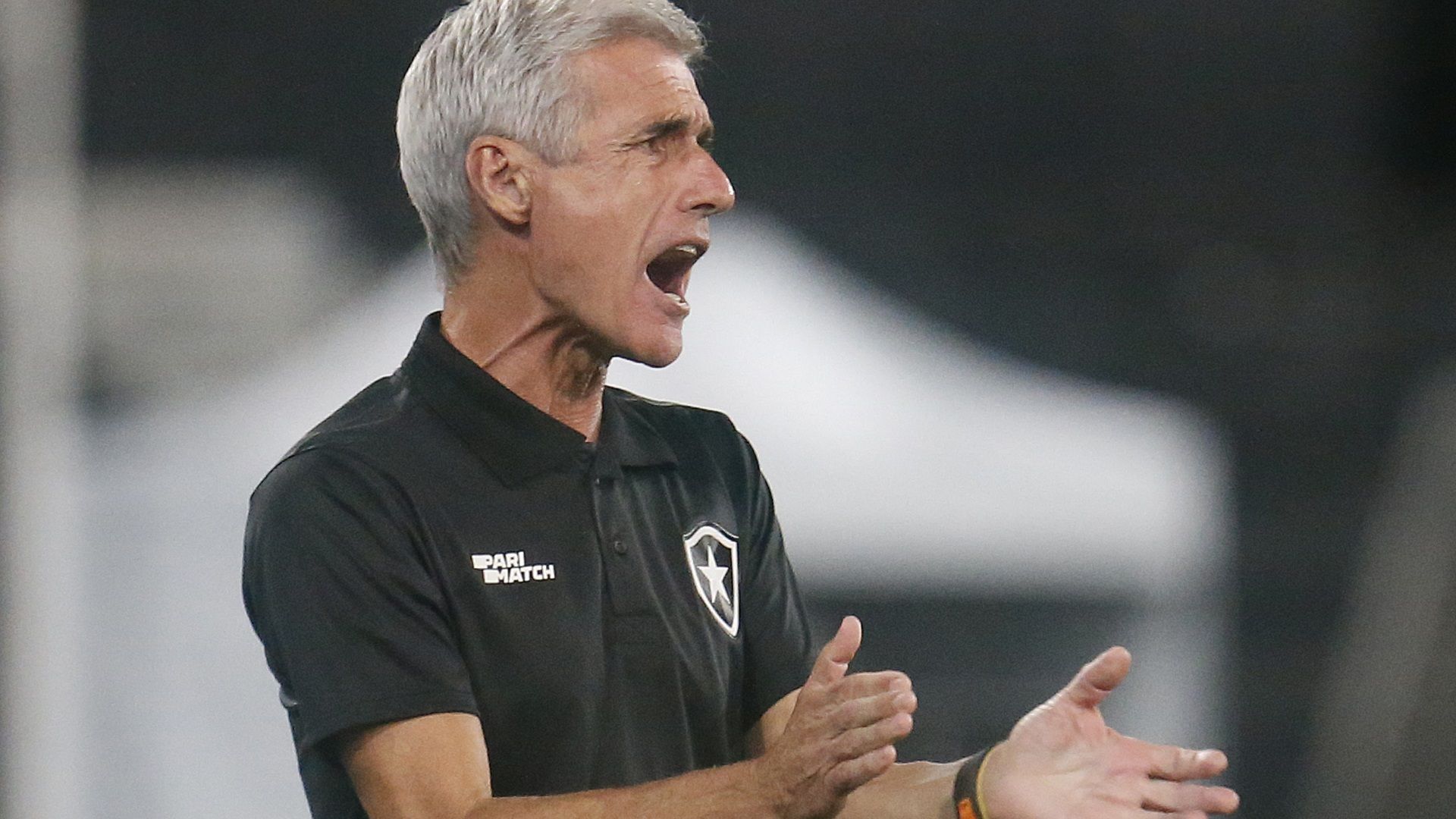 Luís Castro, em ação como técnico do Botafogo em 2023
