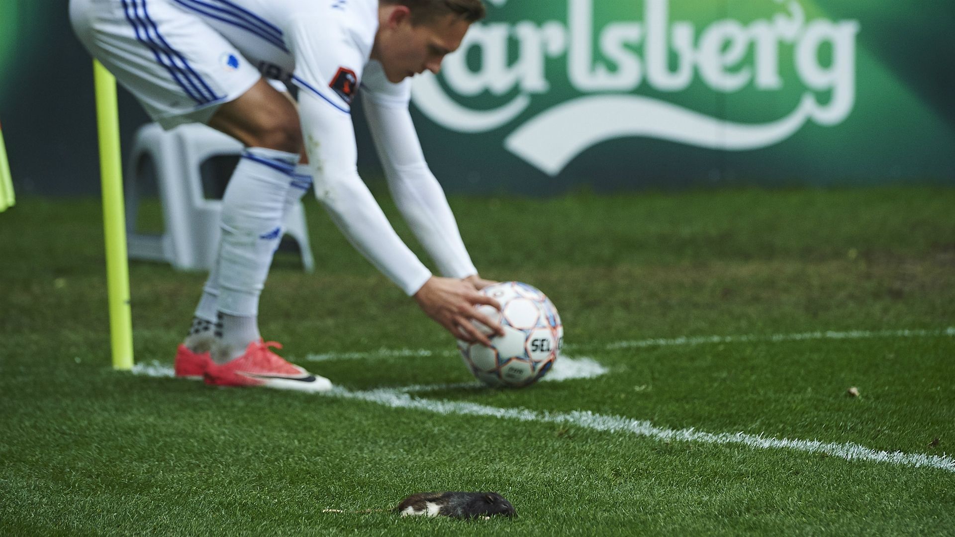 Brondby Copenhagen Danish Superliga