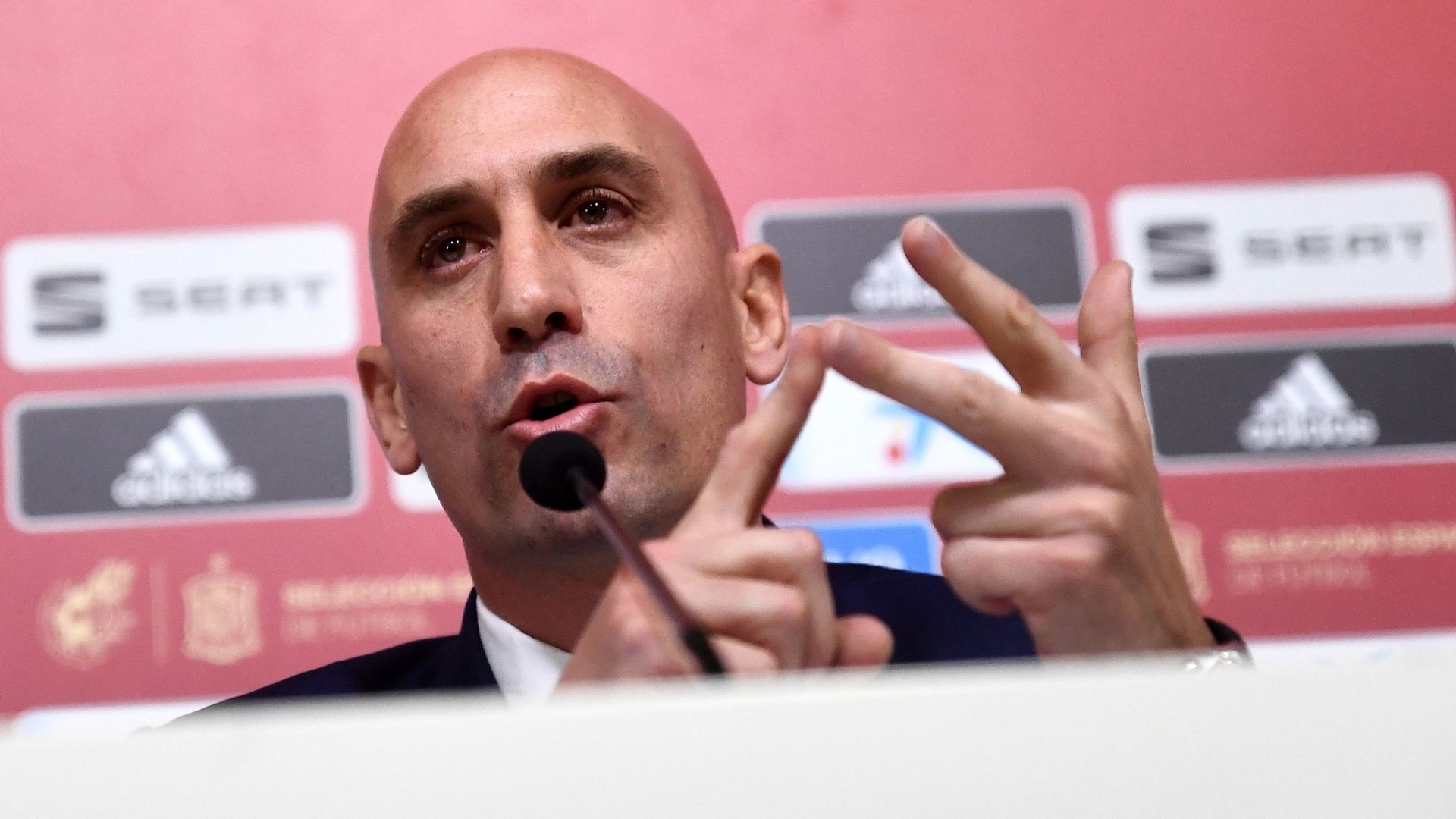 Luis Rubiales, presidente de la Federación de Fútbol de España