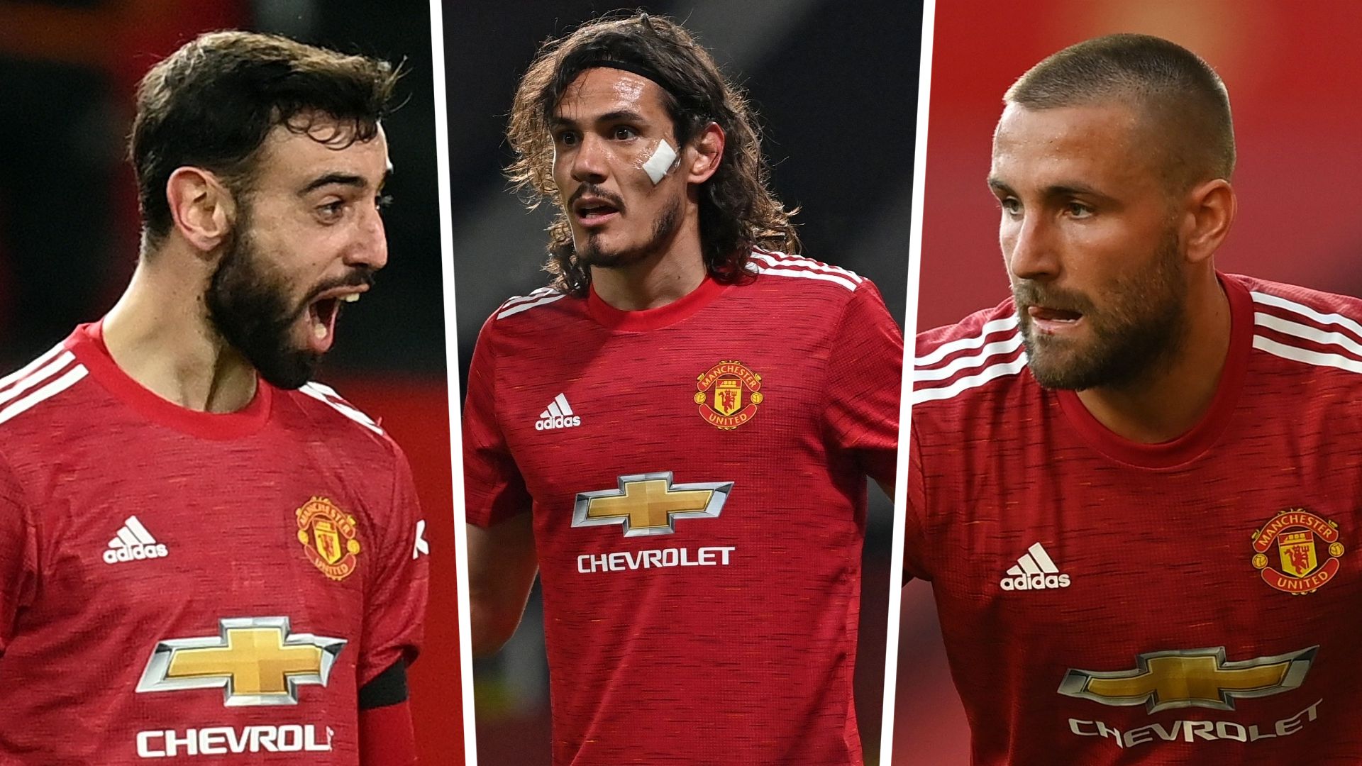 Bruno Cavani Shaw GFX