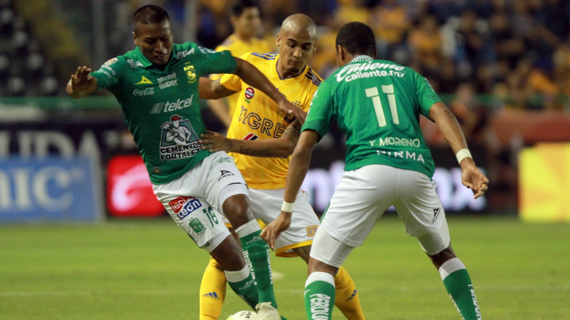 León Tigres