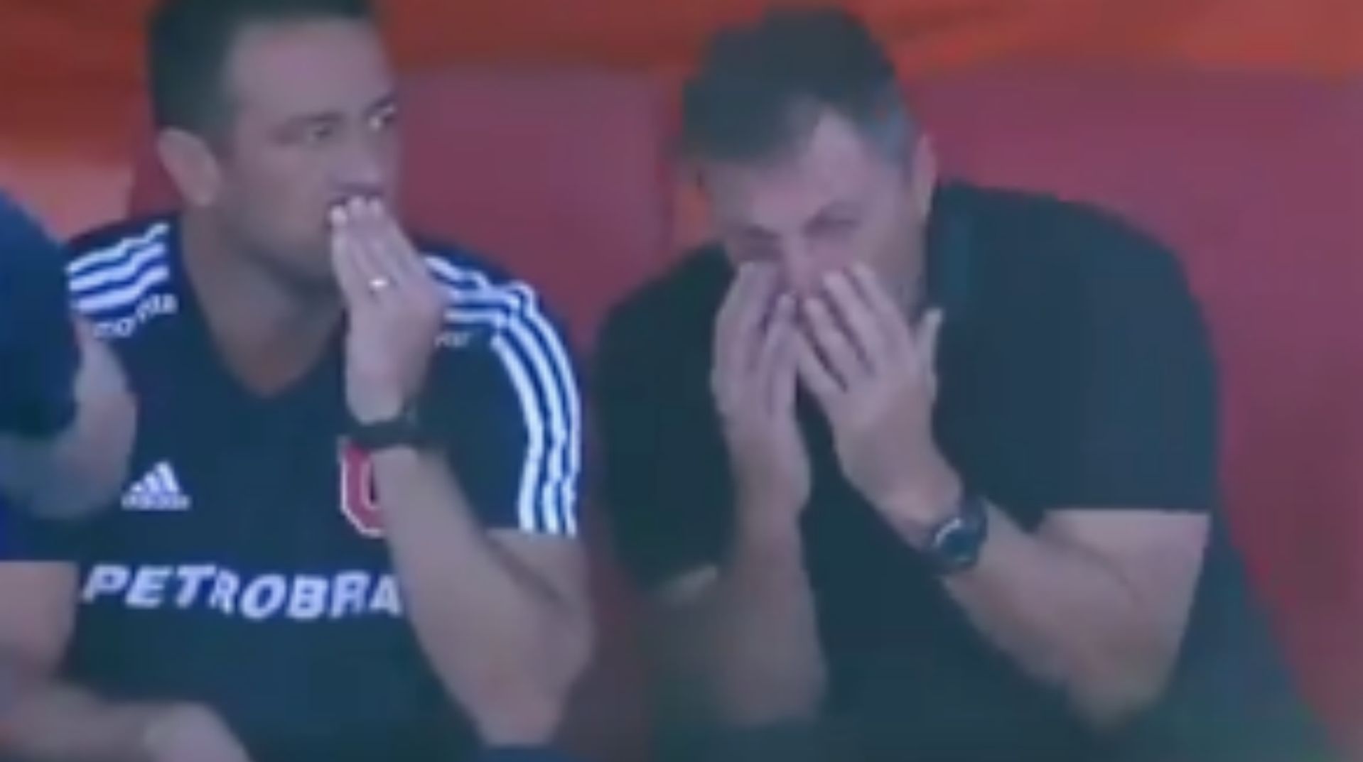 130219 Frank Darío Kudelka Universidad de Chile Melgar