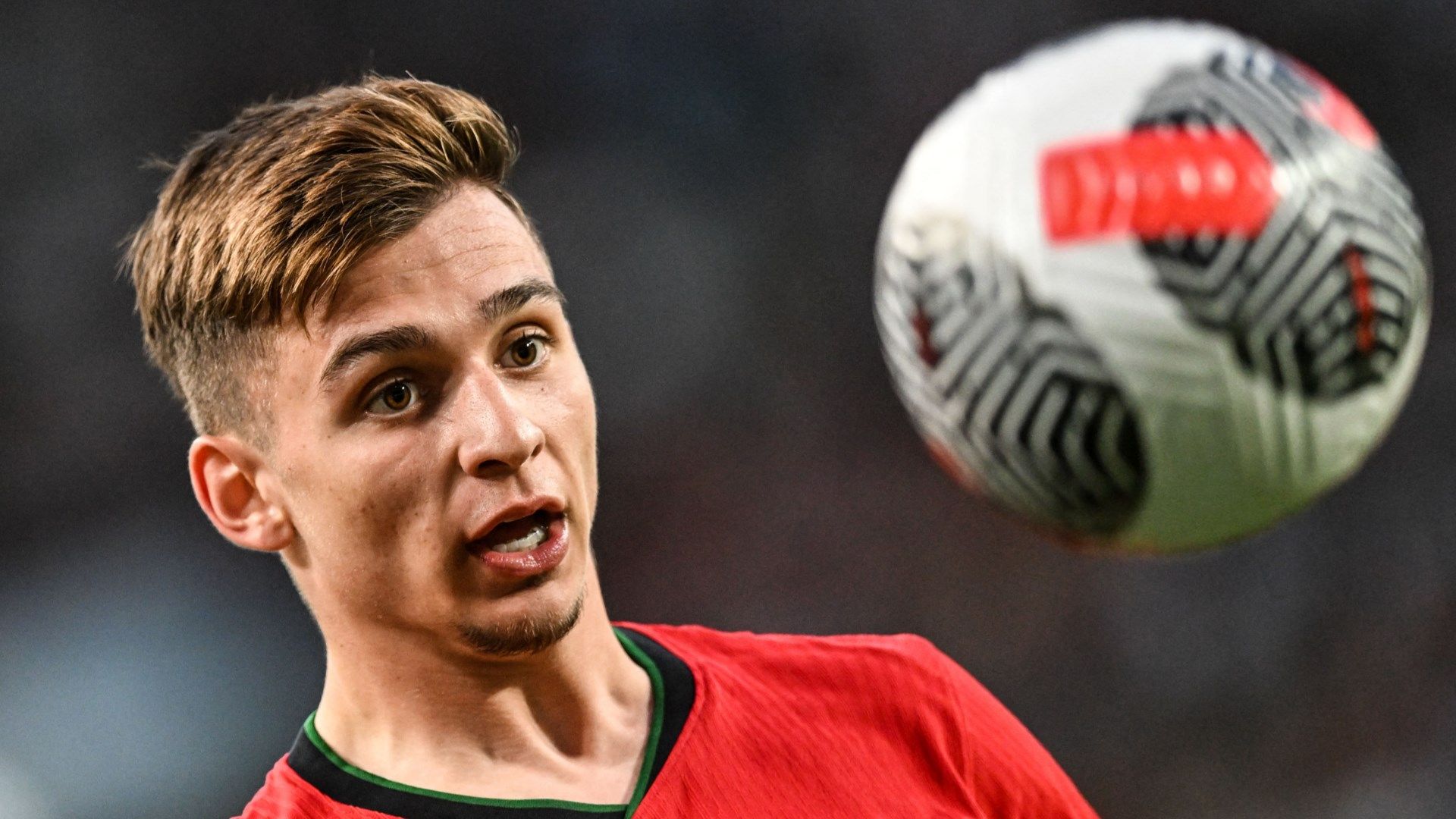 Francisco Conceicao Portugal 2024