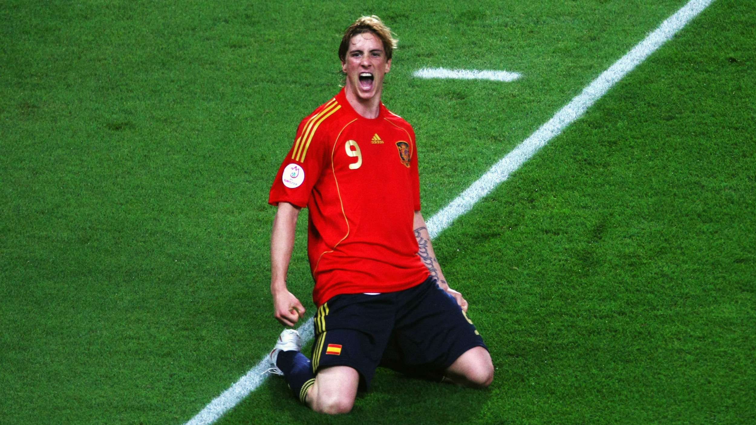 HD Fernando Torres Spain