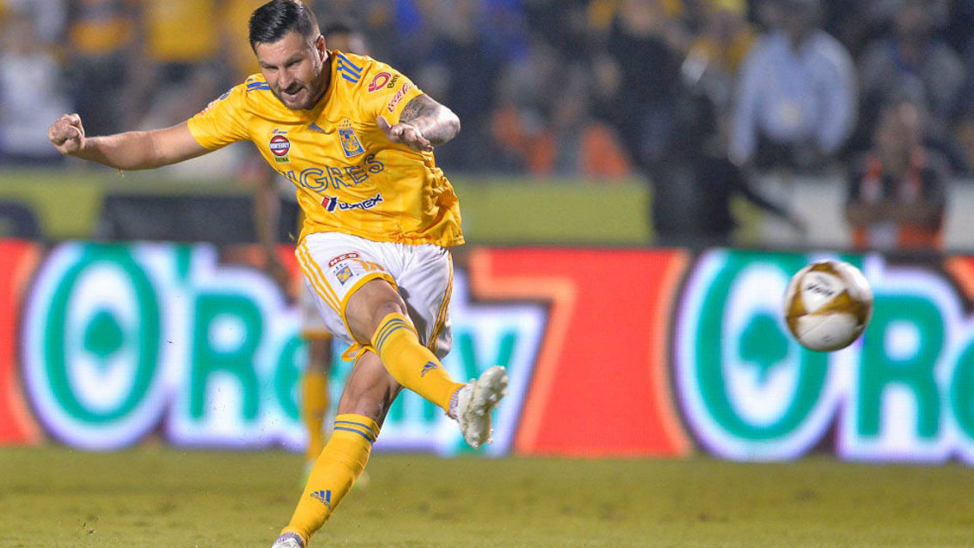 André-Pierre Gignac Tigres