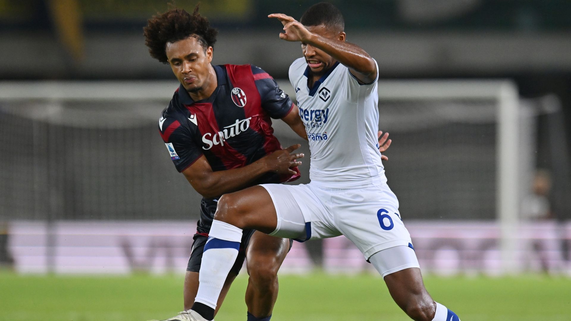 Zirkzee Hien Verona Bologna