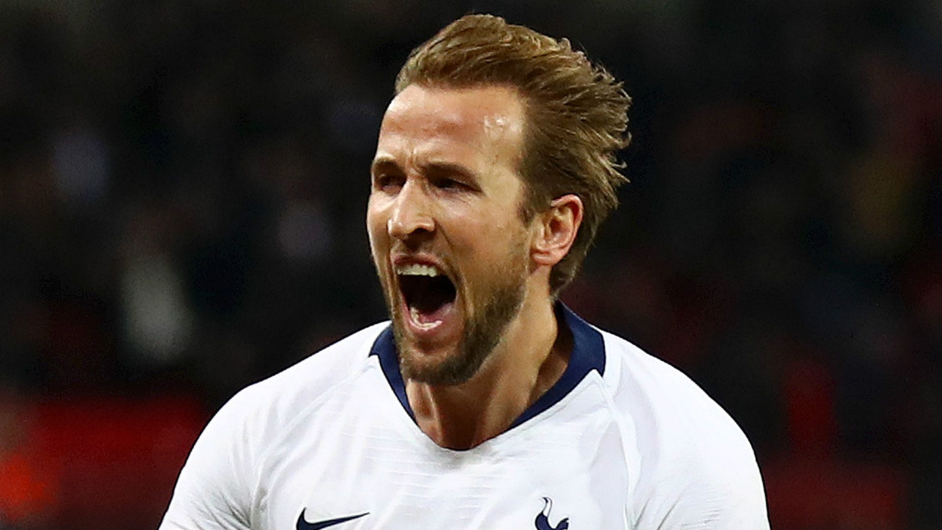 Harry Kane Tottenham 2018-19