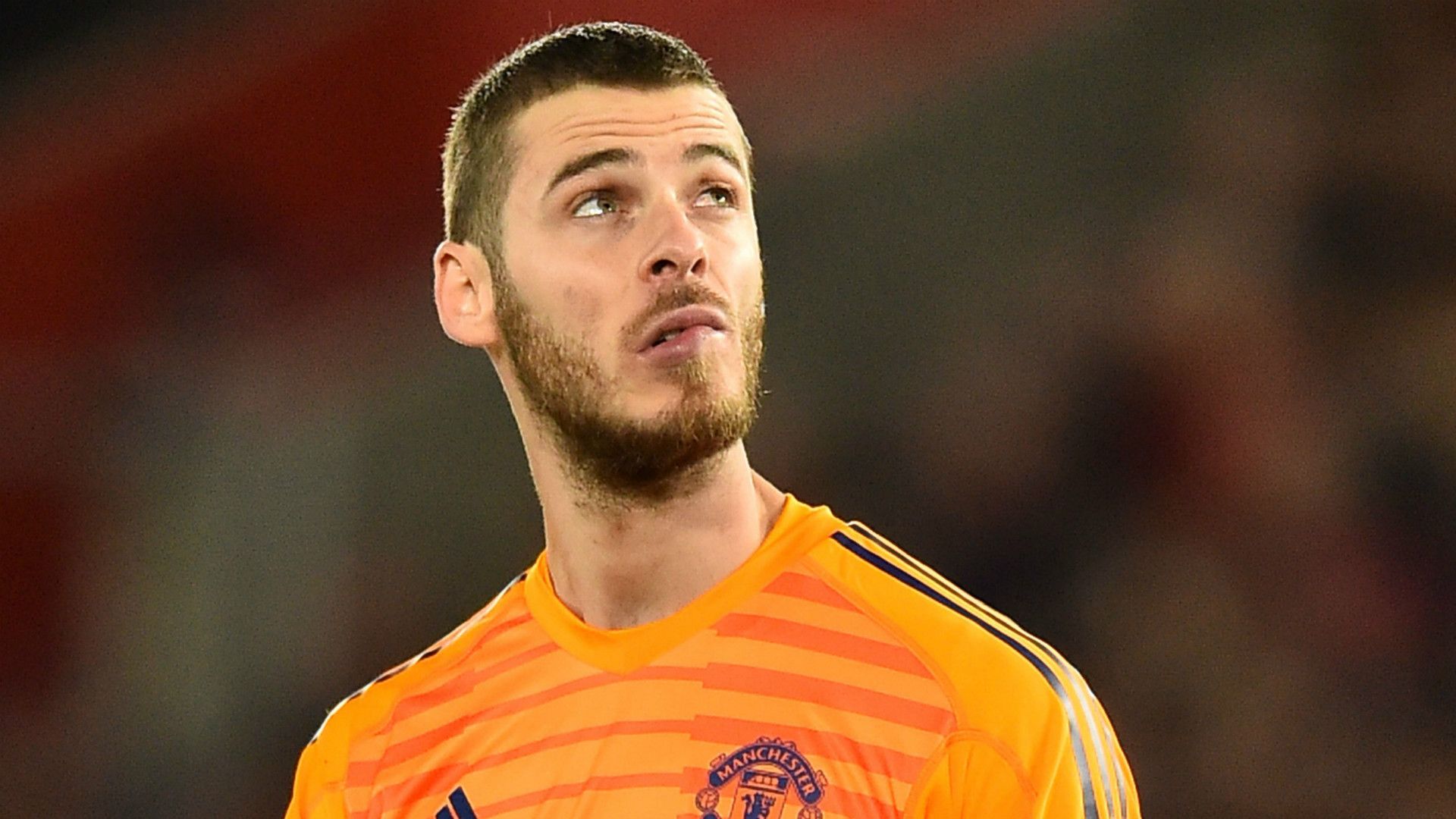 David de Gea Manchester United 2018-19