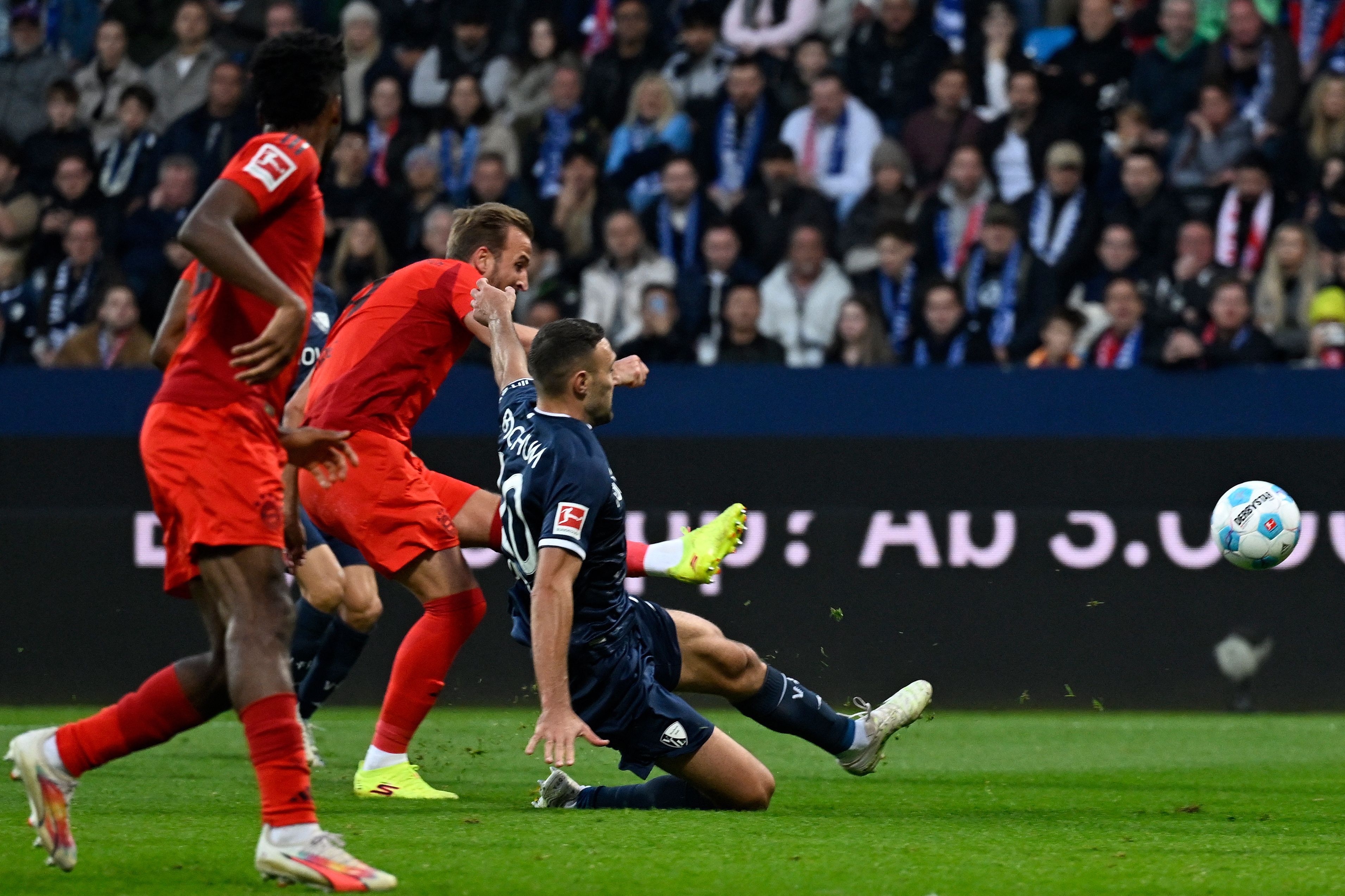 Harry Kane Bayern 2024