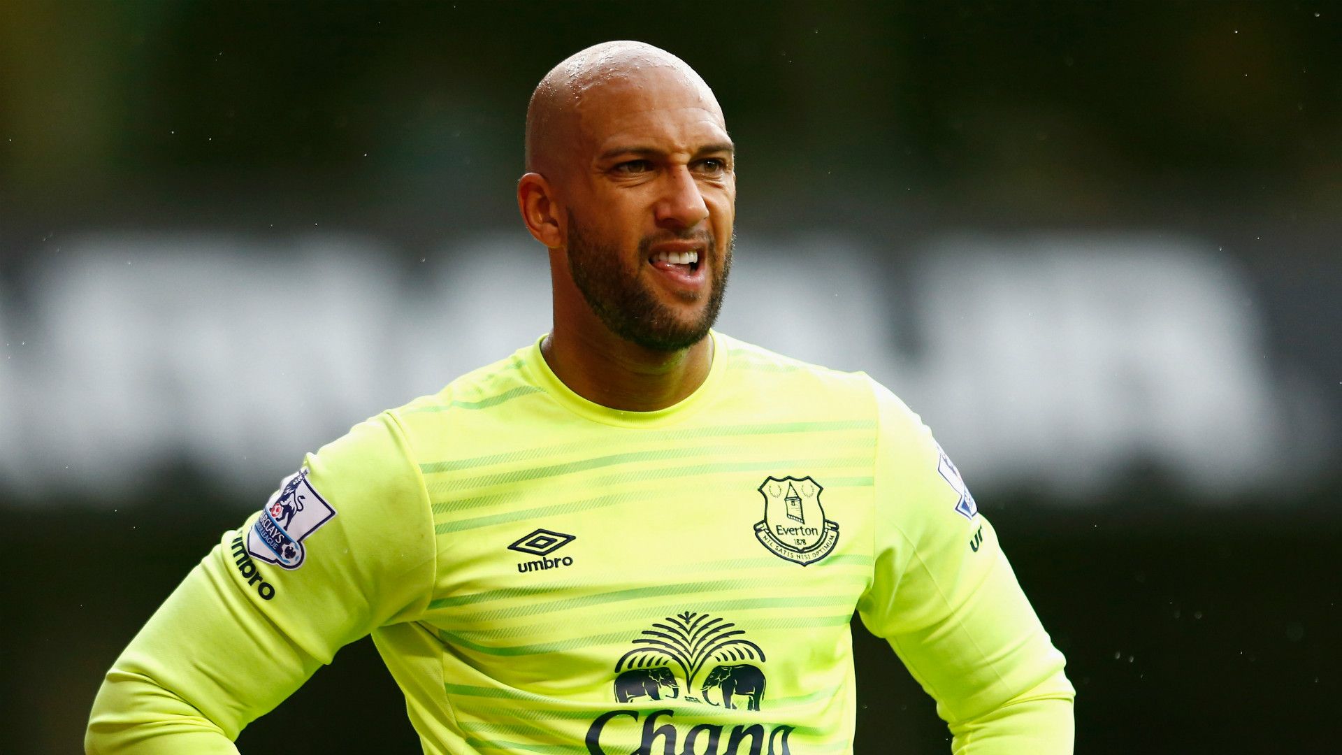 TOTW Tim Howard Everton