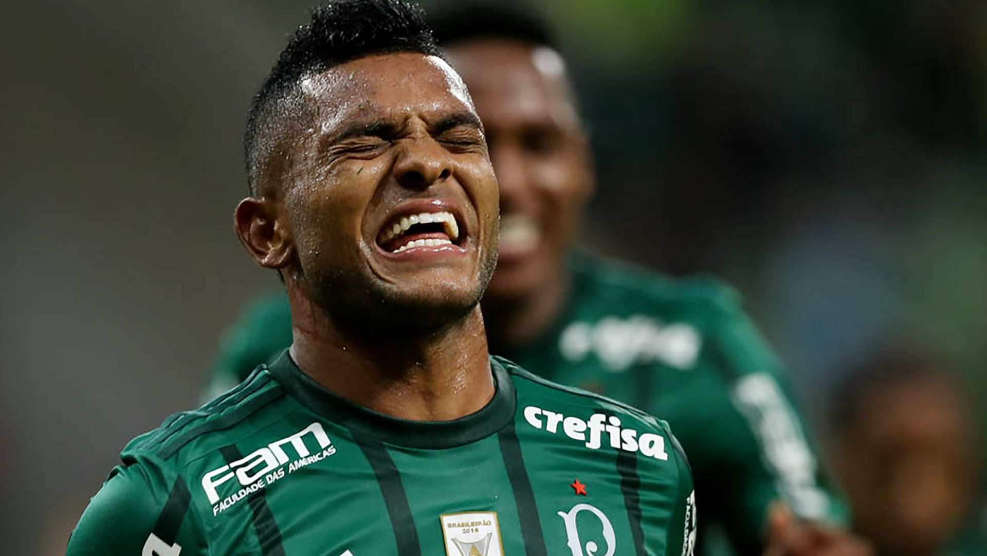 Miguel Borja Palmeiras Atletico-GO Brasileirao Serie A 21062017