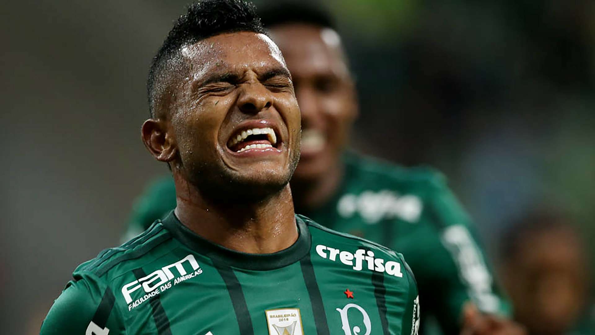 Miguel Borja Palmeiras Atletico-GO Brasileirao Serie A 21062017