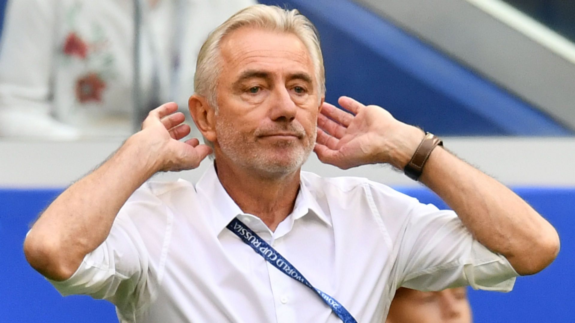 van-marwijk.jpg