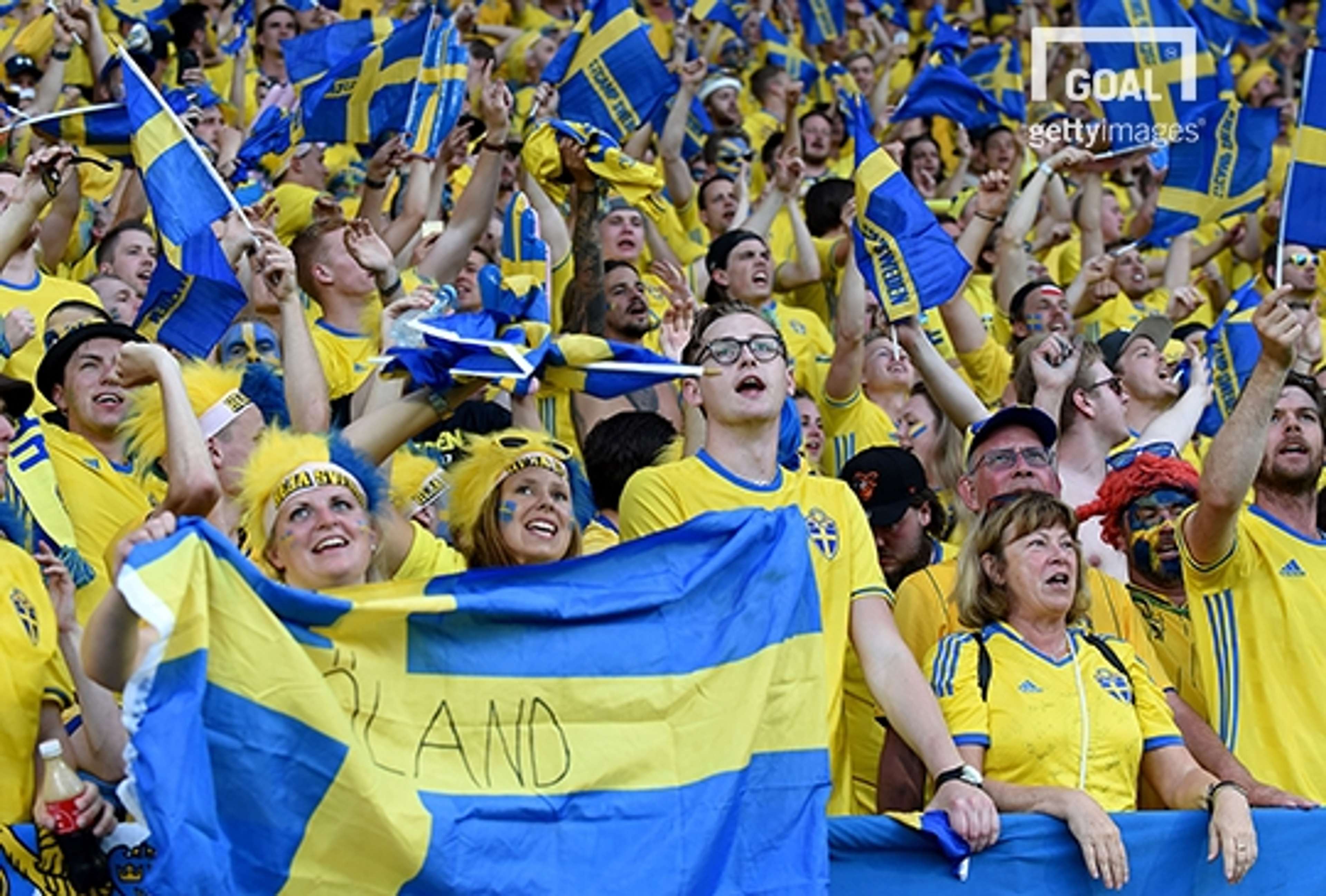 Sweden fan