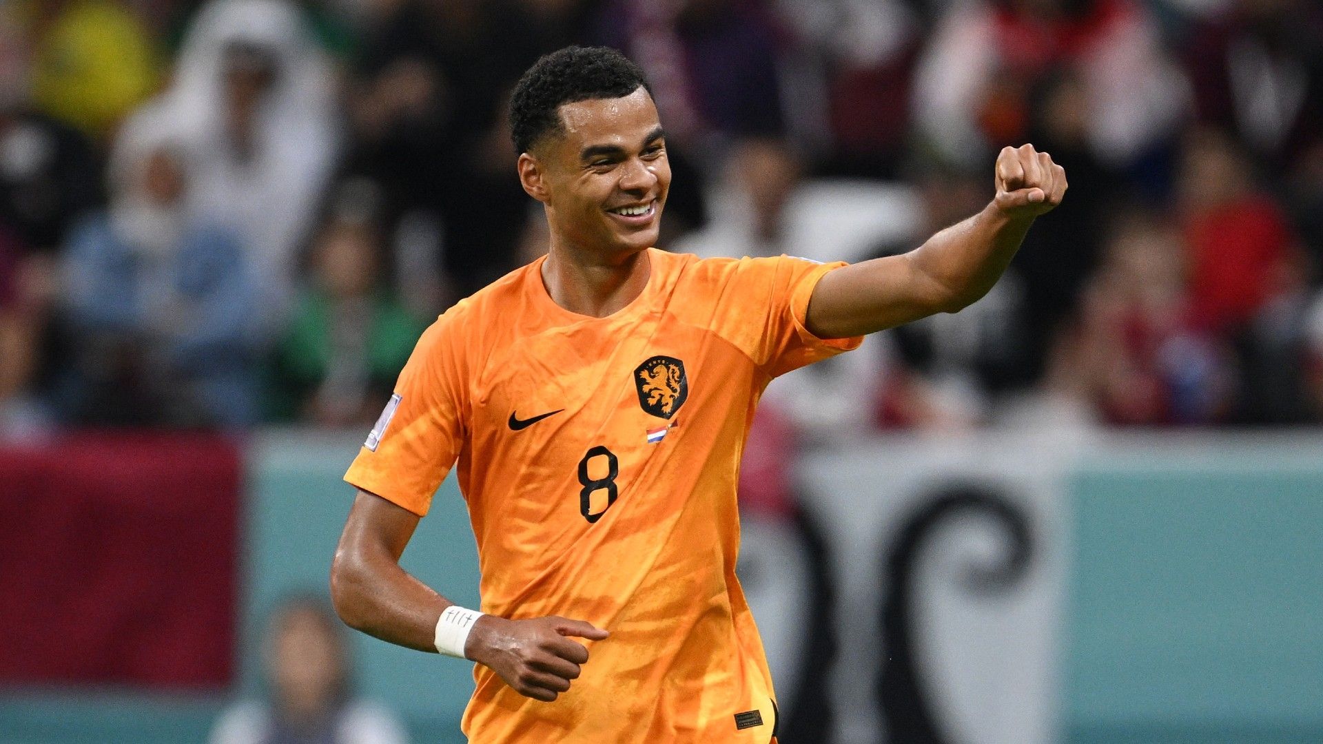 Gakpo Netherlands World Cup 2022