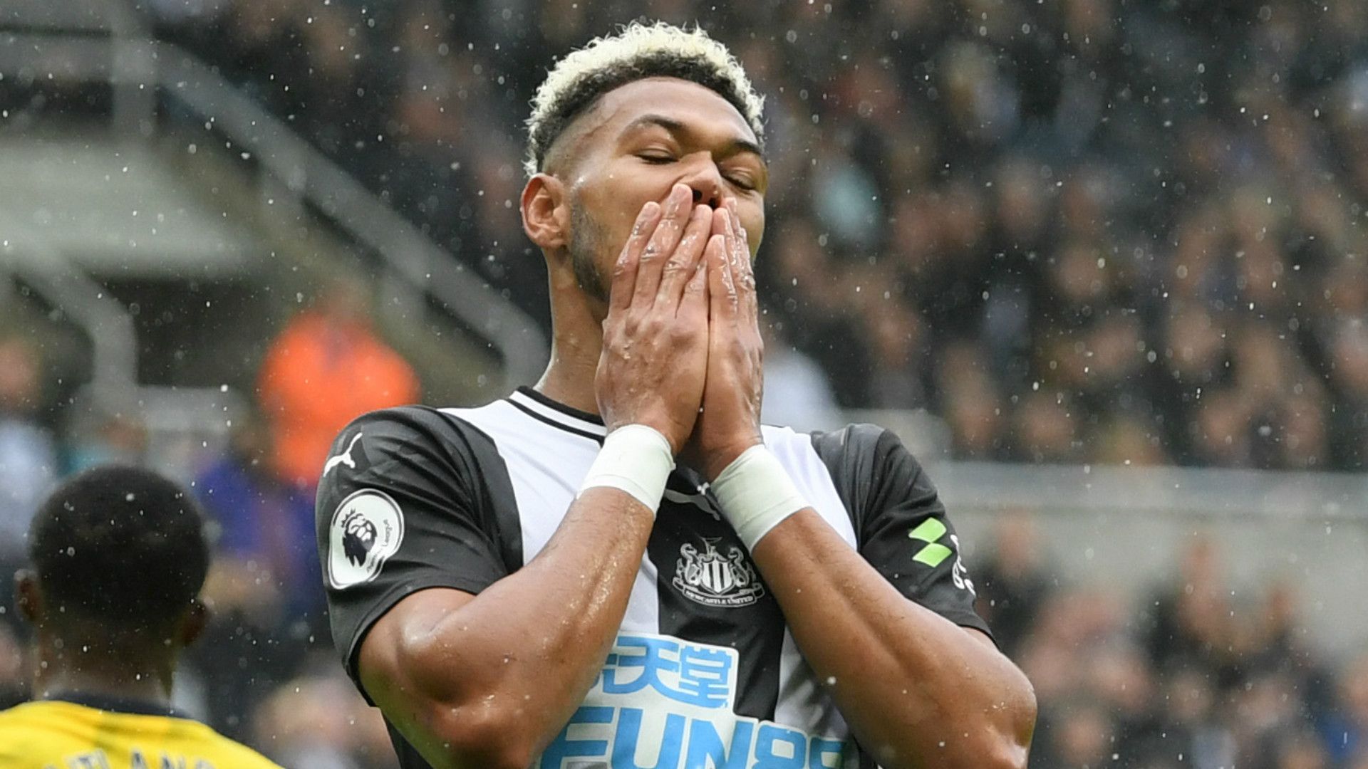 Joelinton Newcastle 2019-20